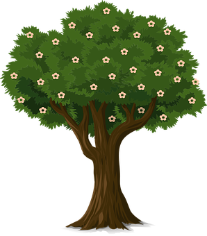 開花樹木插畫 壁紙