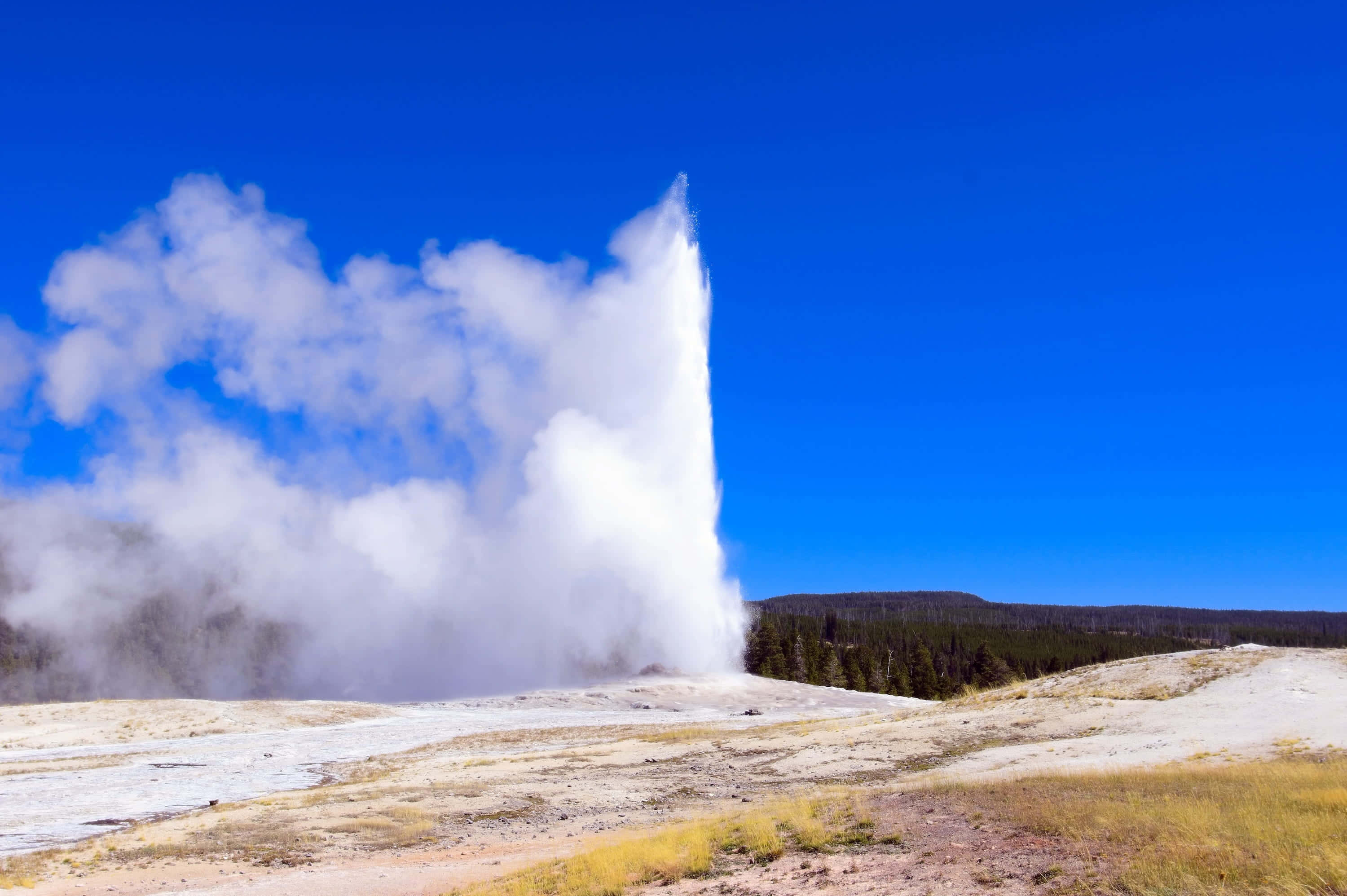 Yellowstone Geysers 桌布 壁紙 — 間歇泉在地熱景觀上方，對著鮮豔的藍天噴出高聳的蒸氣柱。