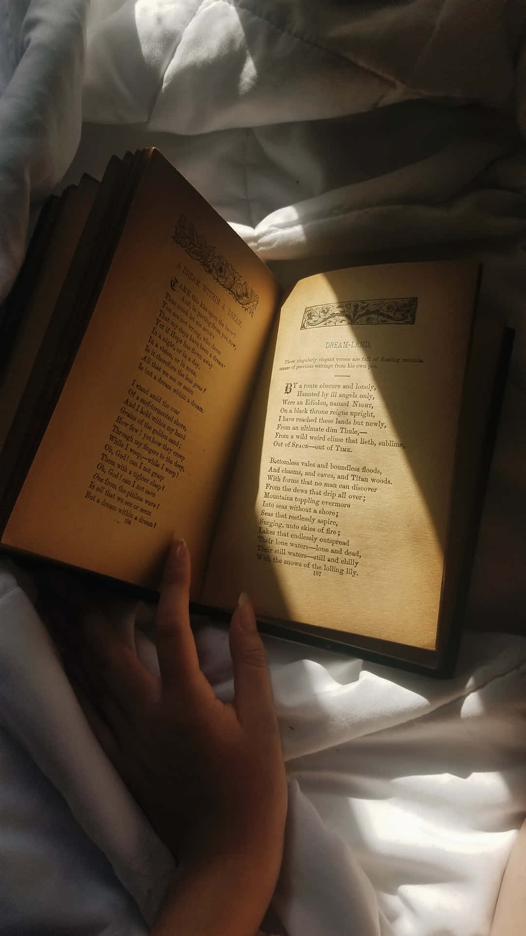 手拿著打開的書在陽光普照的床上，白色床單