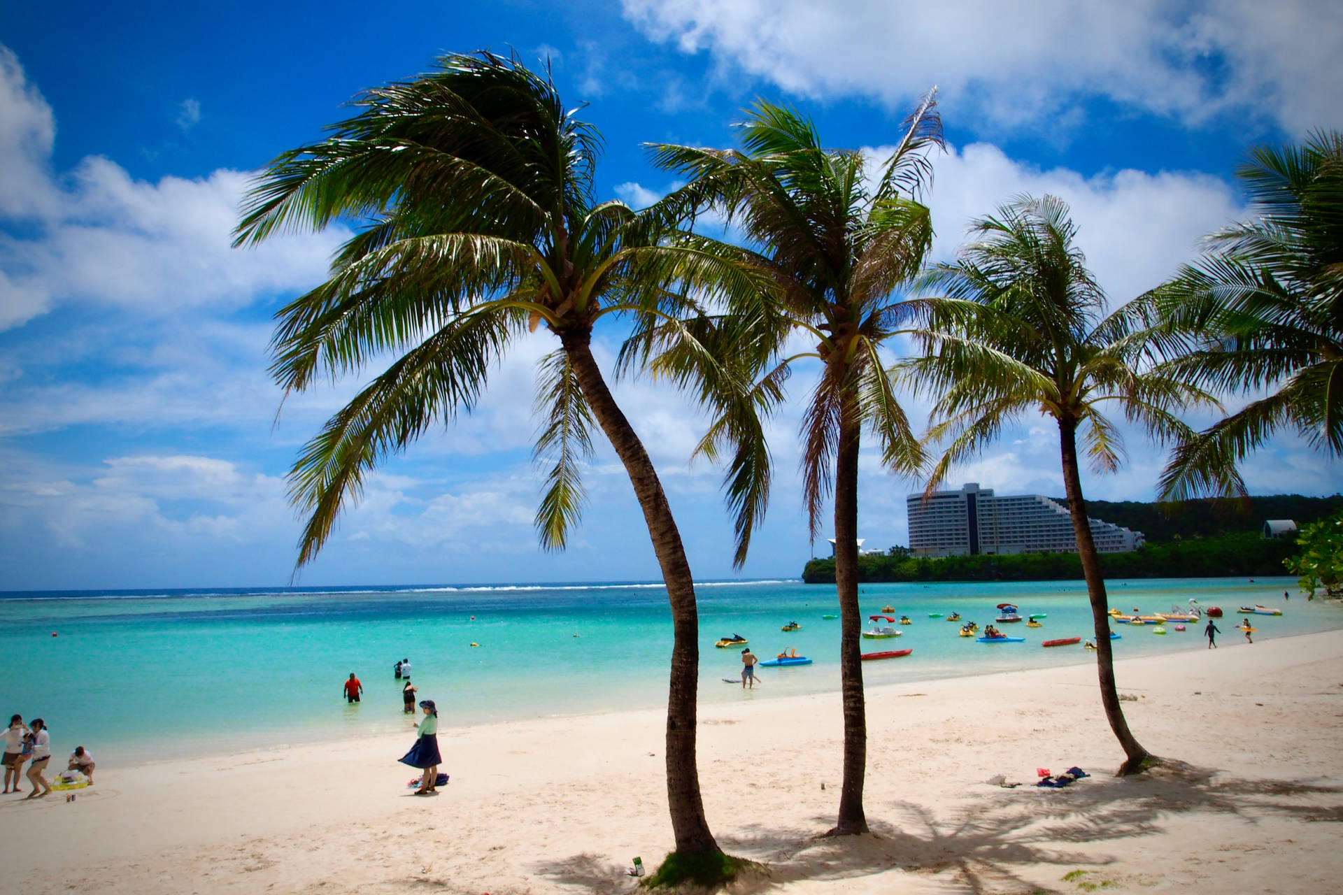 棕櫚樹為陽光海灘提供陰涼，碧綠的海水和度假村附近的度假者。