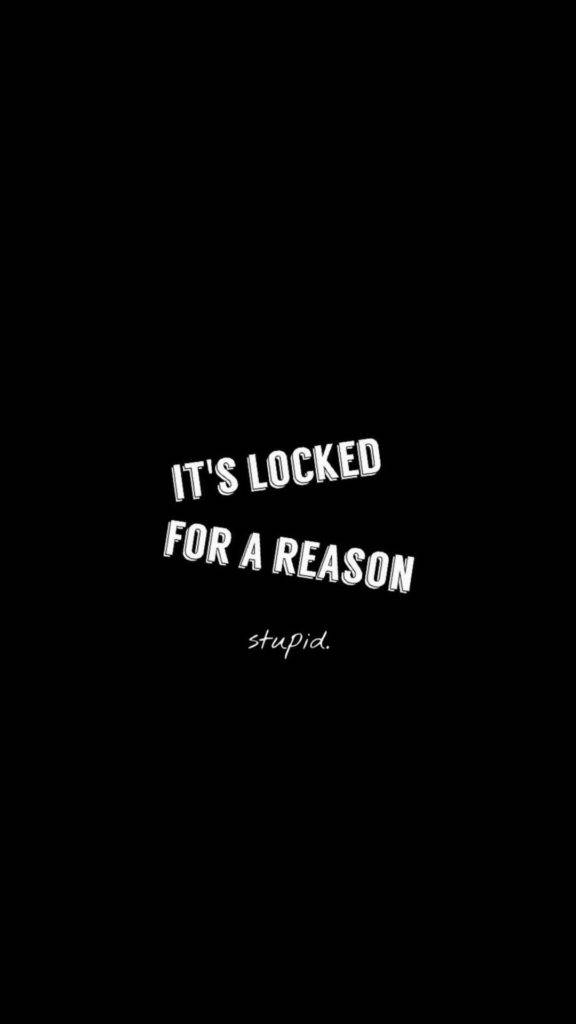 防蠢黑客手機鎖屏 壁紙 — 黑色背景上粗體白色文字寫著「IT'S LOCKED FOR A REASON」，下方有斜體「stupid.」。