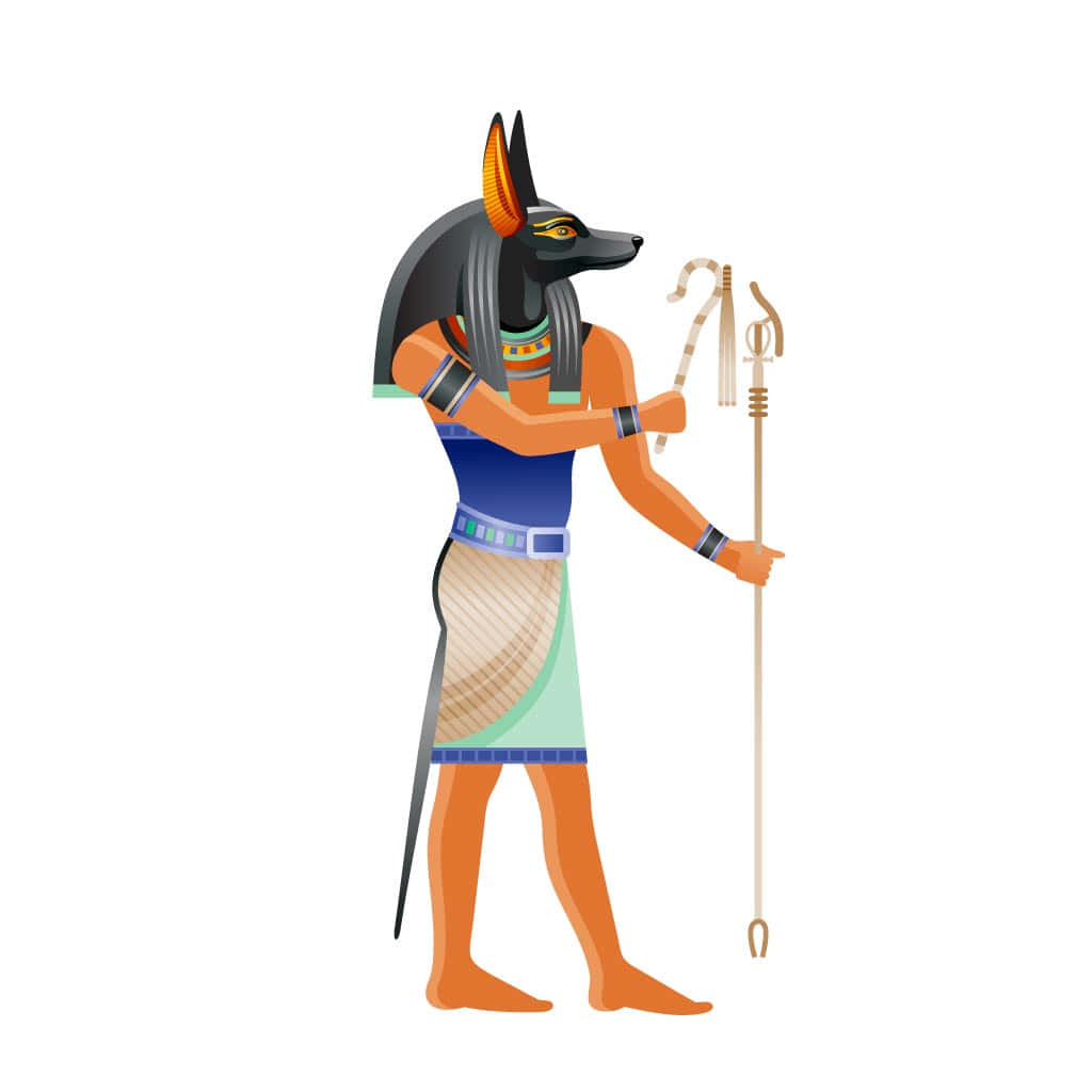 Egyptian Gods 桌布 壁紙 — 阿努比斯側面站立，手持鉤鐮和連枷，背景為純白色。