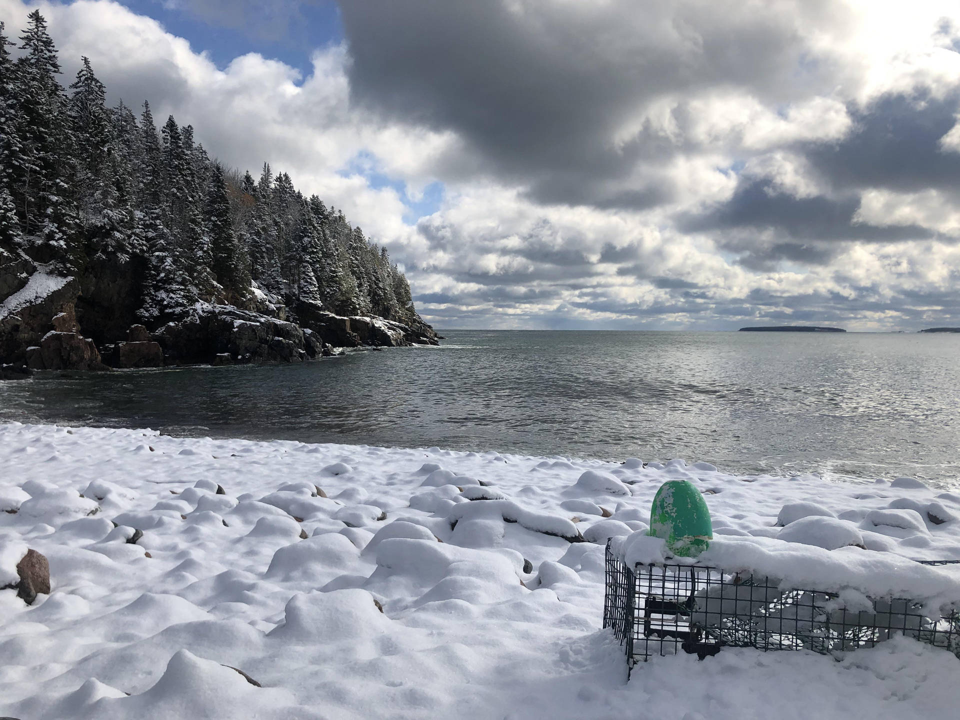 白雪覆蓋的海灘，龍蝦籠和綠色浮標靠近岩石海岸。