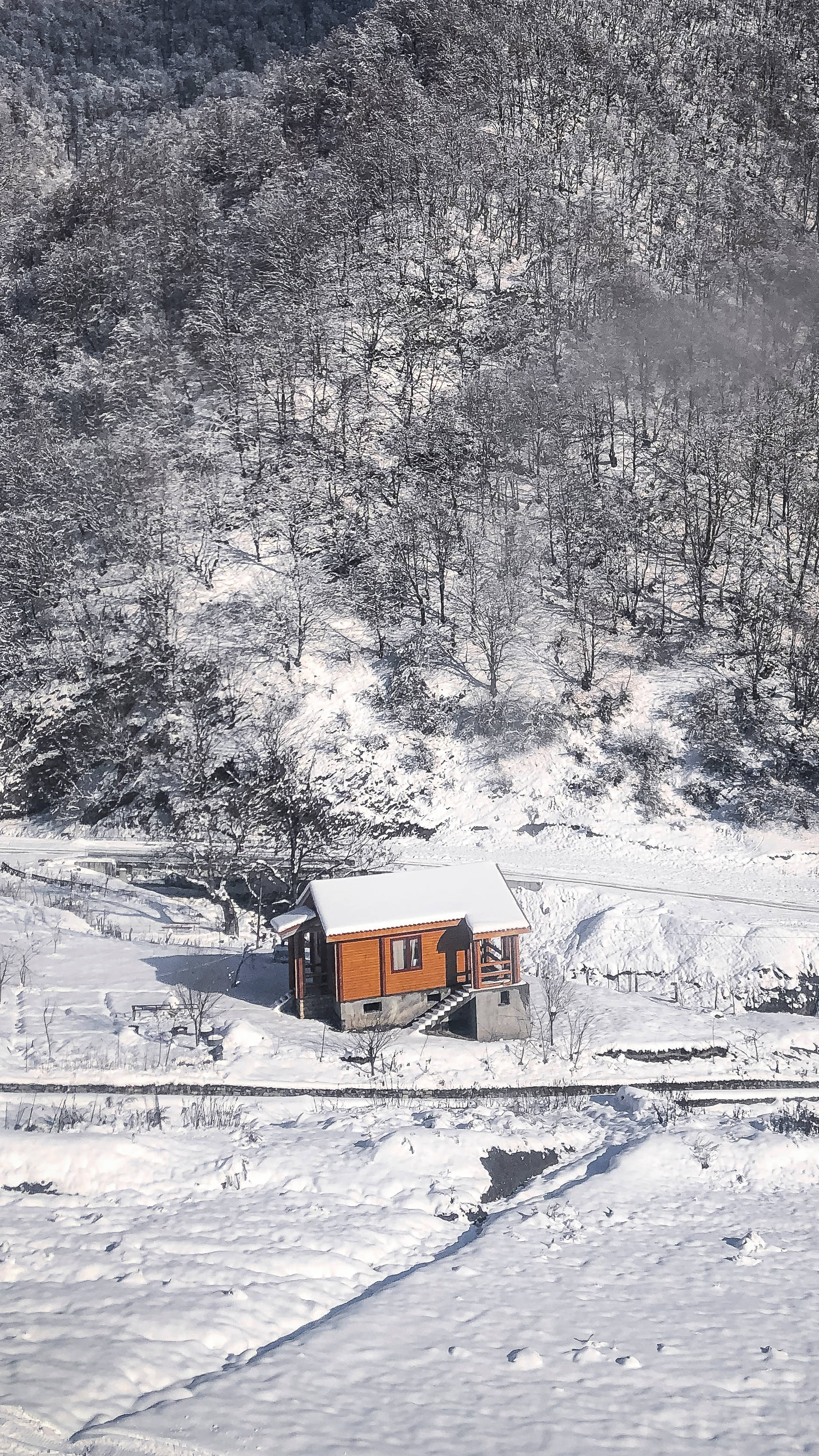 阿塞拜疆雪季 壁紙 — 一間孤獨的橙色小屋坐落在白雪覆蓋的森林山谷中，沐浴在明亮的冬日陽光下。