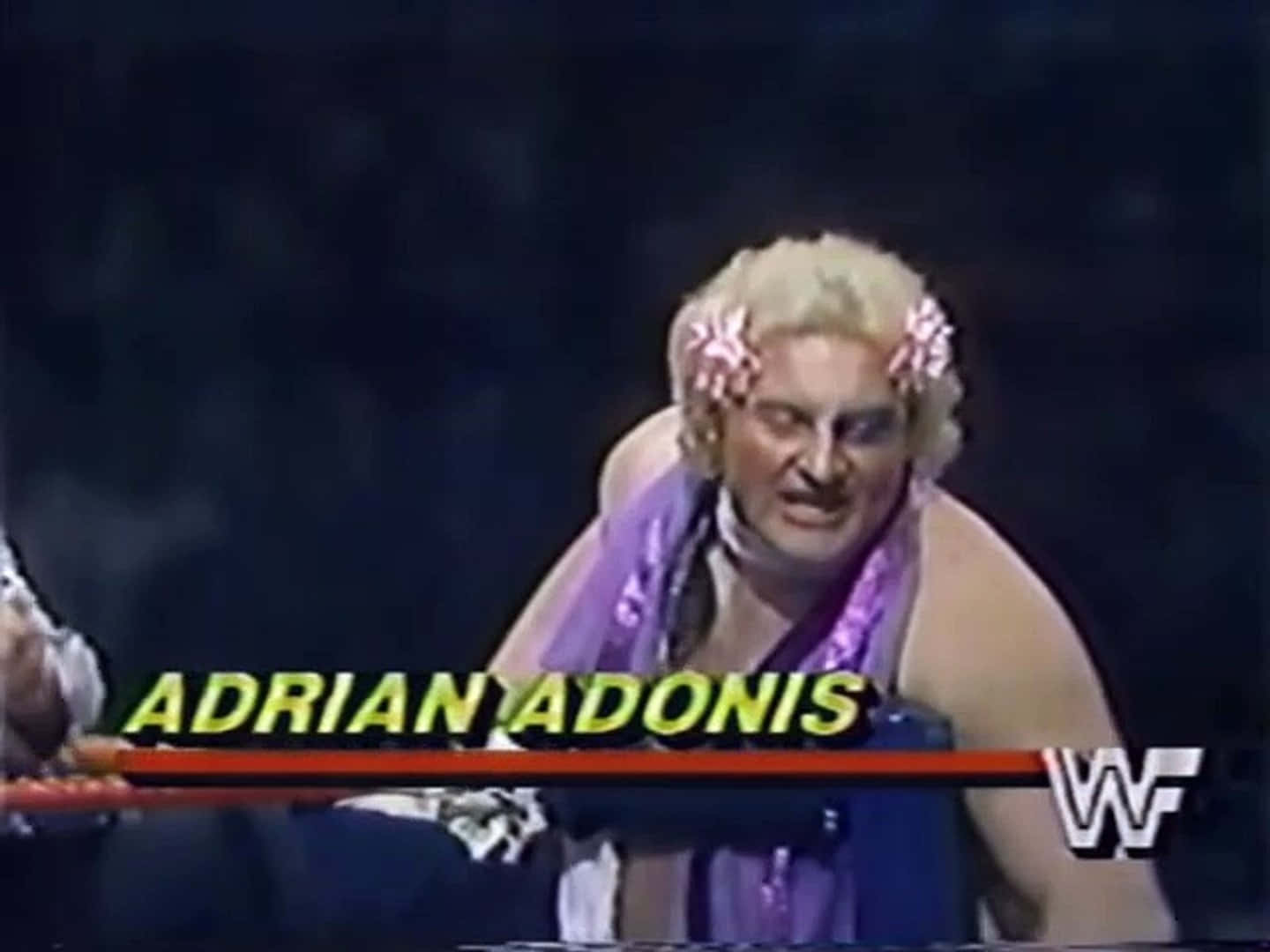 WWE比賽中，身穿紫色服裝、頭髮上戴著粉紅色花朵的摔角手Adrian Adonis。