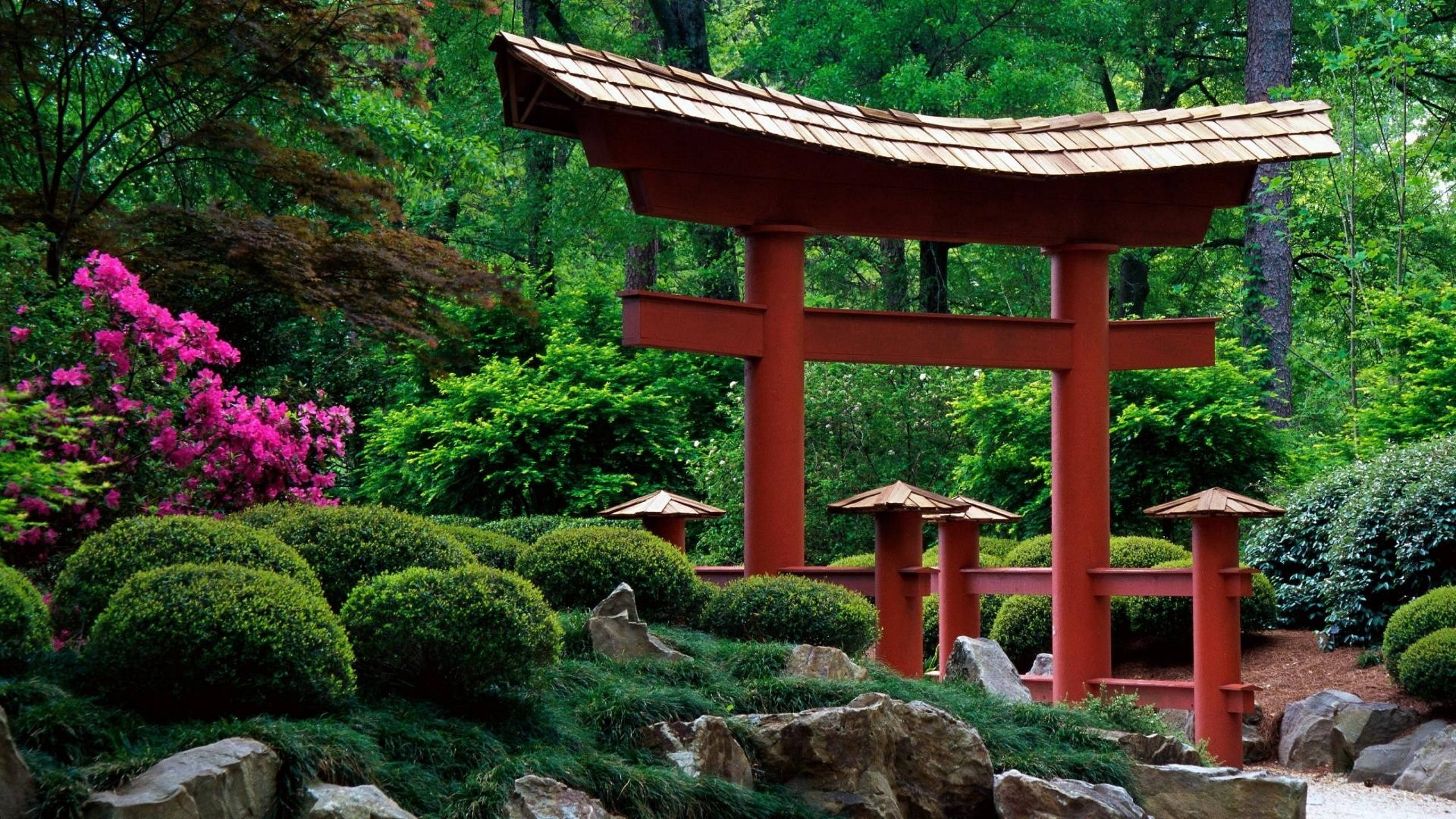 阿拉巴馬州日本庭園 壁紙 — 一座鮮紅色的日本鳥居矗立在寧靜花園中，四周環繞著茂密的綠植和粉紅色的開花灌木。