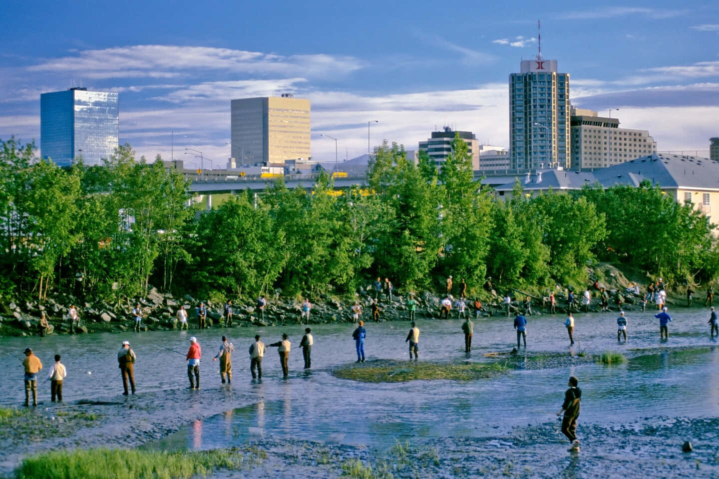 阿拉斯加安克雷奇人群與樹木風景 壁紙 — 人們在淺河中涉水，在明亮的藍天下拋線，背後是茂密綠樹後的現代城市天際線。