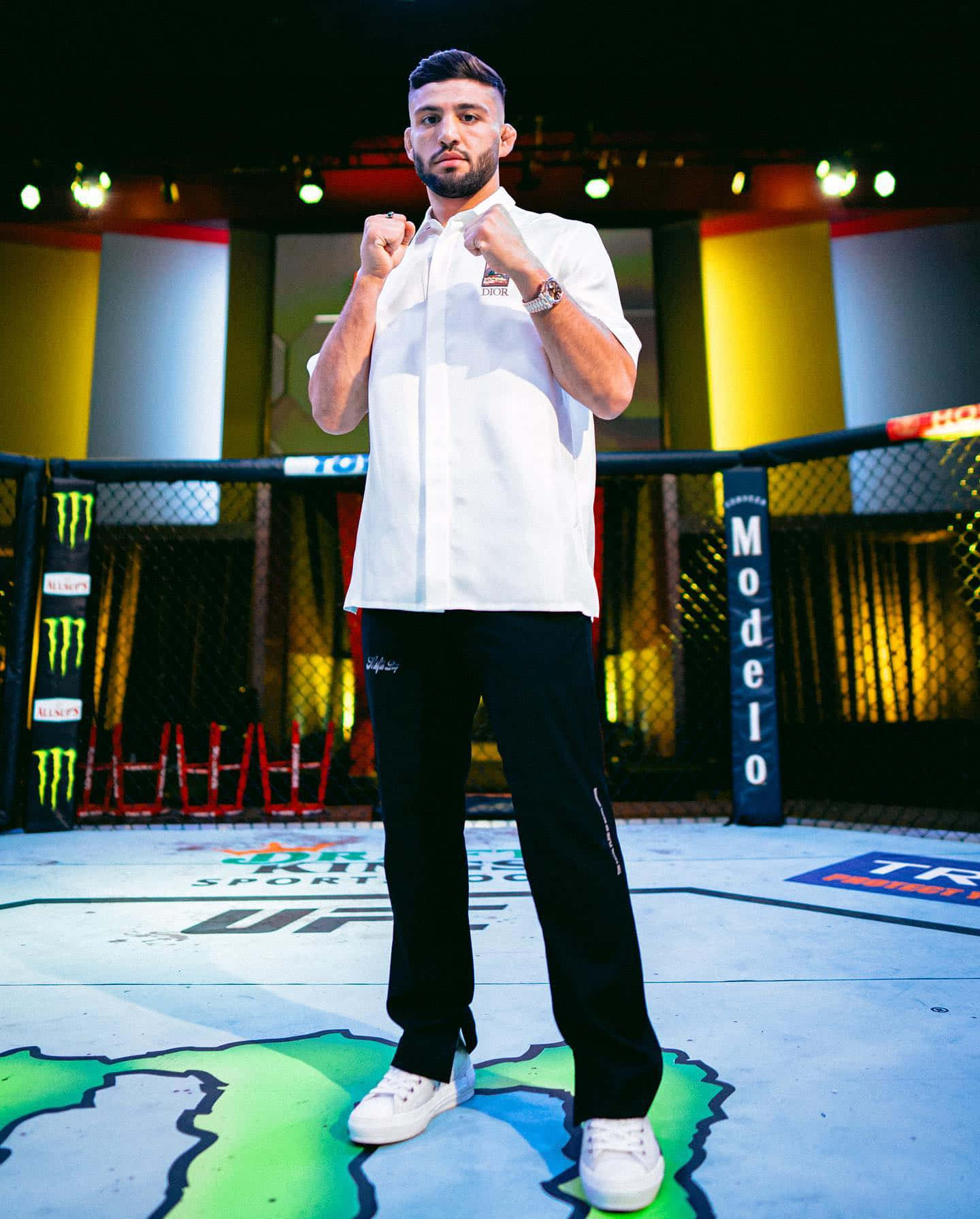 一名男性MMA拳手在UFC八角籠中舉拳擺姿勢。