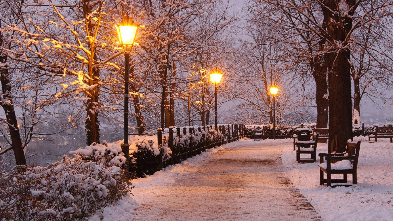 黃昏時分，溫暖街燈照亮積雪公園小徑，有長椅和光禿樹木。