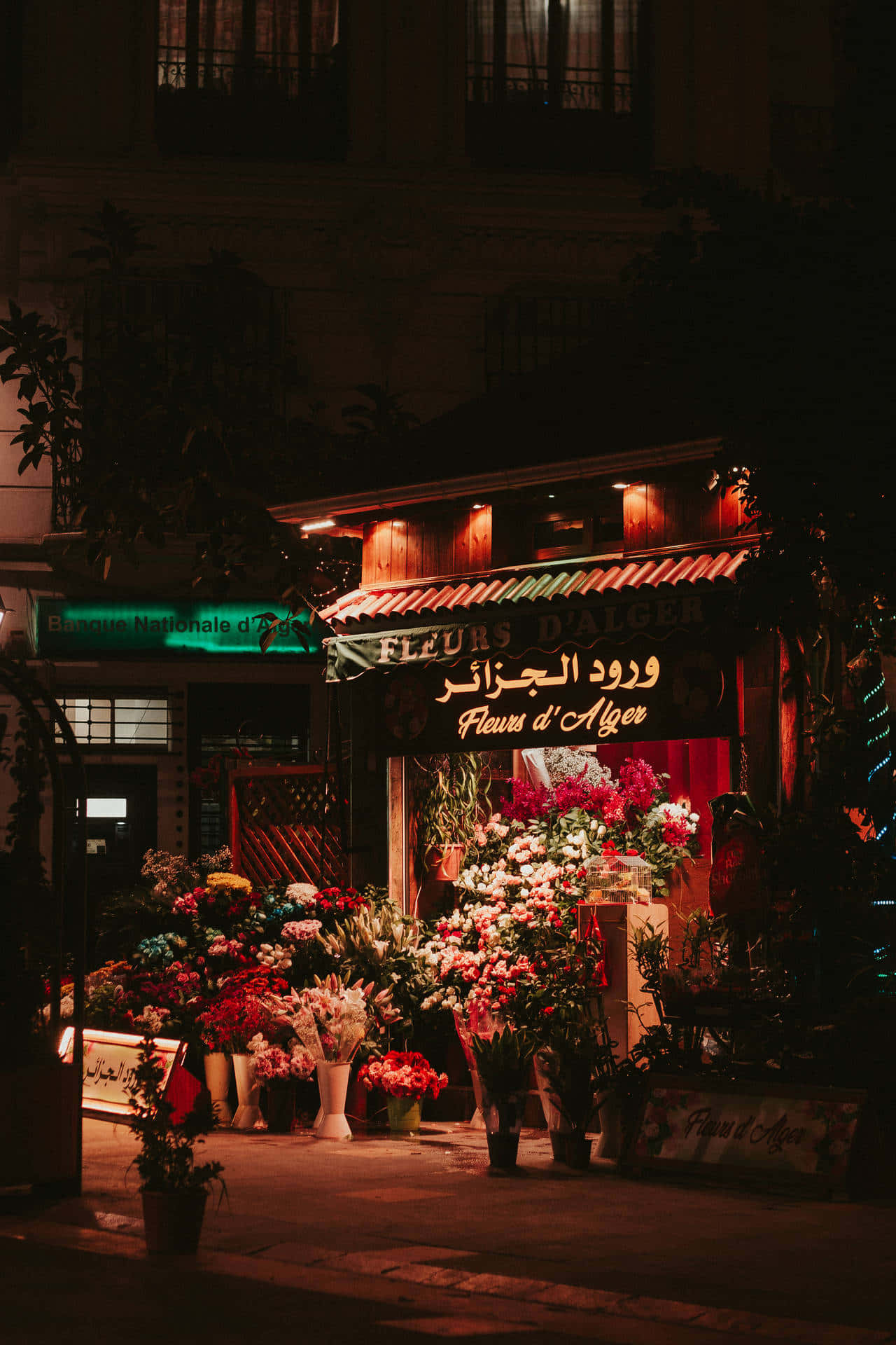 阿爾及利亞的美麗 壁紙 — 夜晚一間燈光溫暖的花店，在黑暗的城市背景下，閃爍的招牌下展示著鮮豔的花朵。