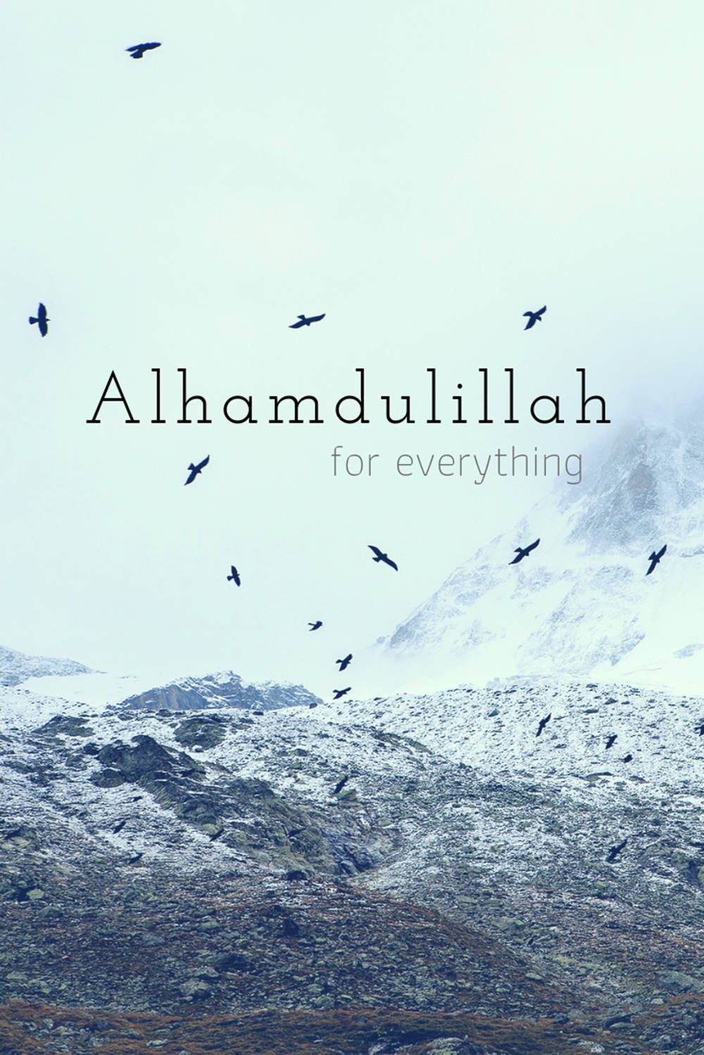 雪山與飛鳥，以及感謝一切的Alhamdulillah文字