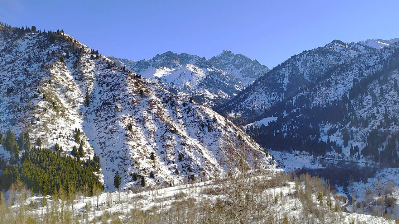 阿爾馬蒂的冰封山脈 壁紙 — 白雪覆蓋崎嶇的山坡，在晴朗的藍天下，常綠森林緊貼山頂。