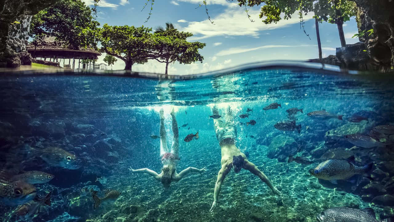 兩名游泳者在熱帶泳池的水下滑行，魚兒在他們周圍游動。