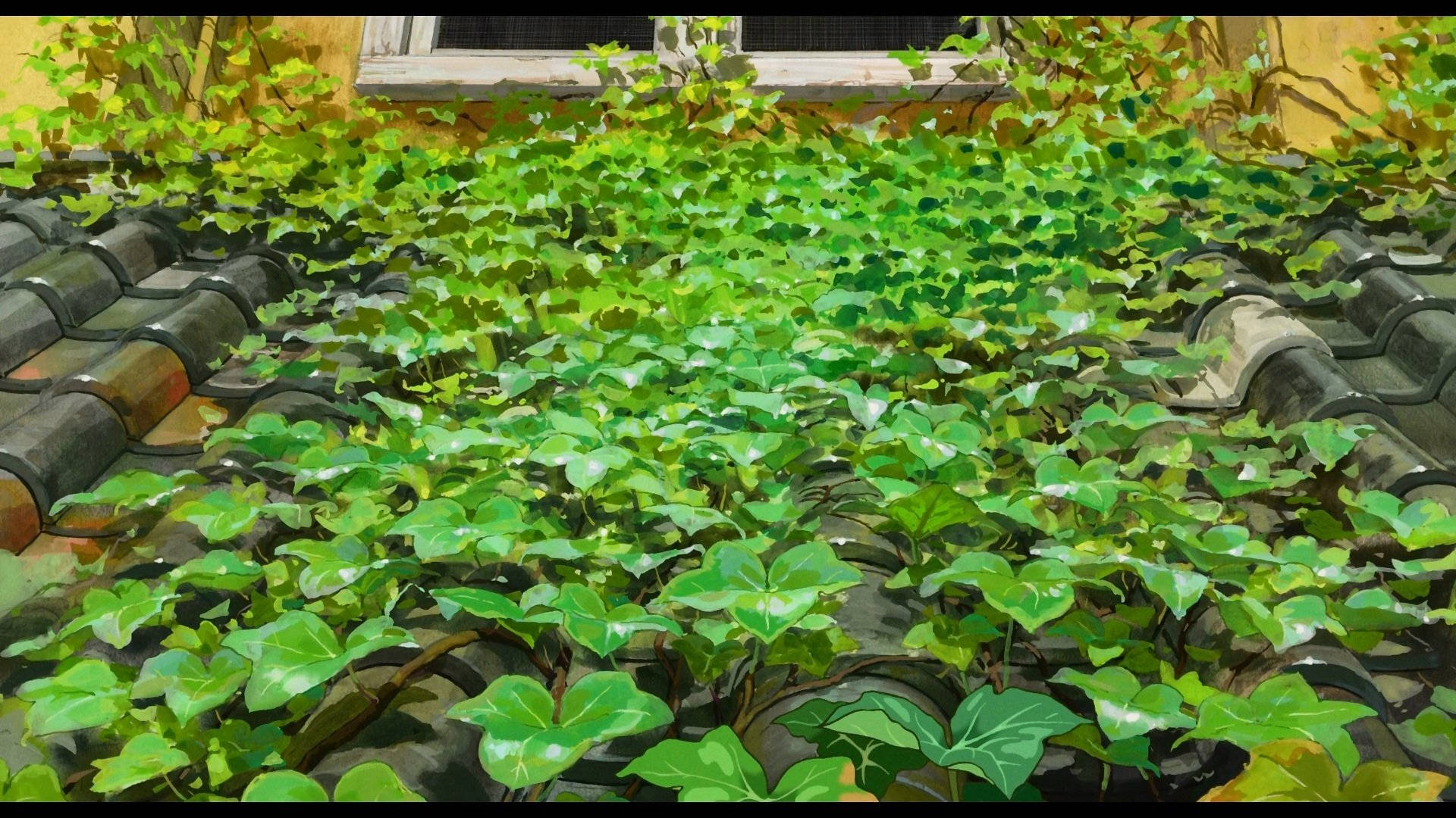 綠色常春藤在深色瓦片屋頂上茂密生長，背景是黃色牆壁。