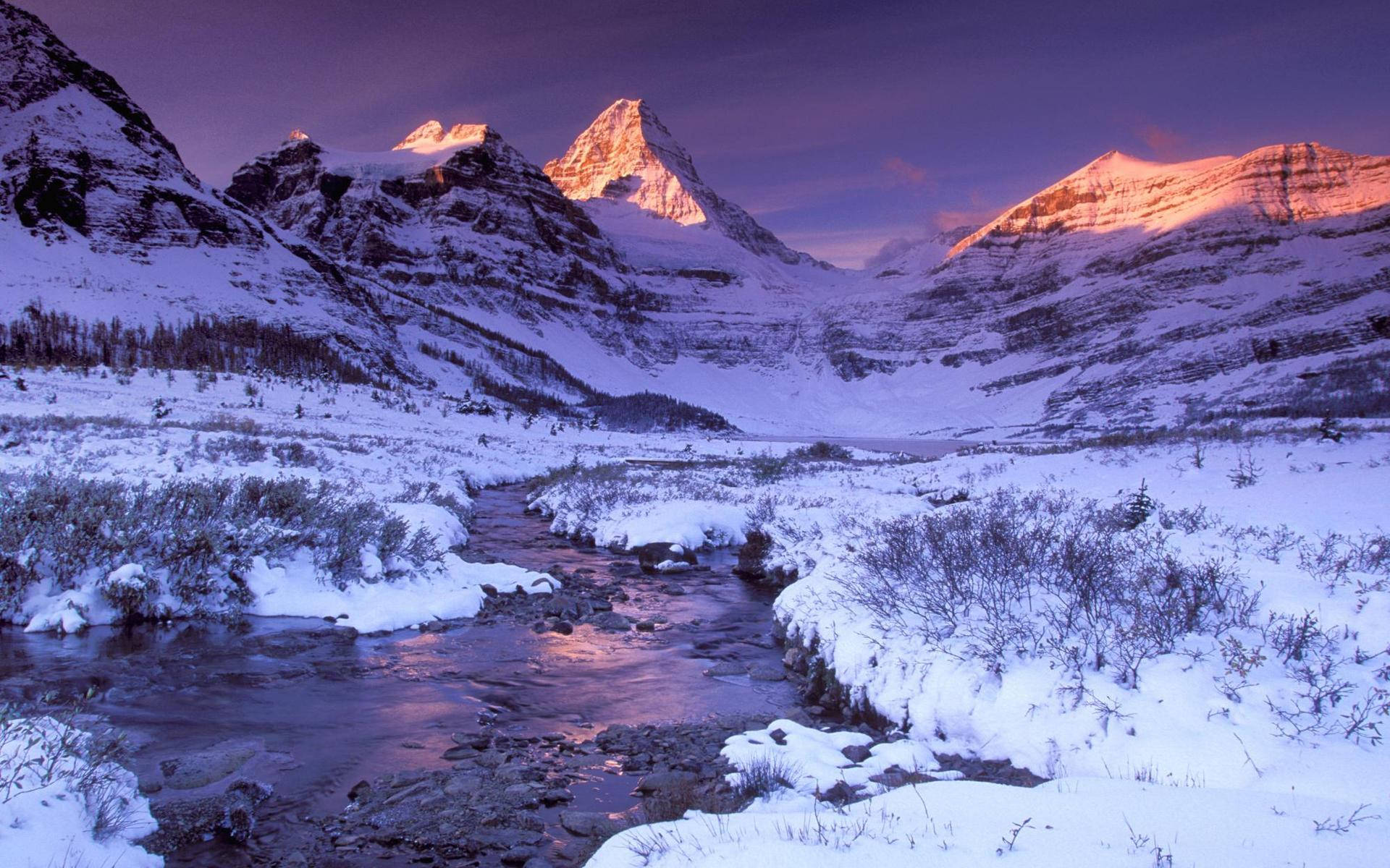 阿西尼博因雪山 壁紙 — 黃昏時分，白雪覆蓋的山谷，蜿蜒的小溪映照出粉紅和紫色的天空色調。