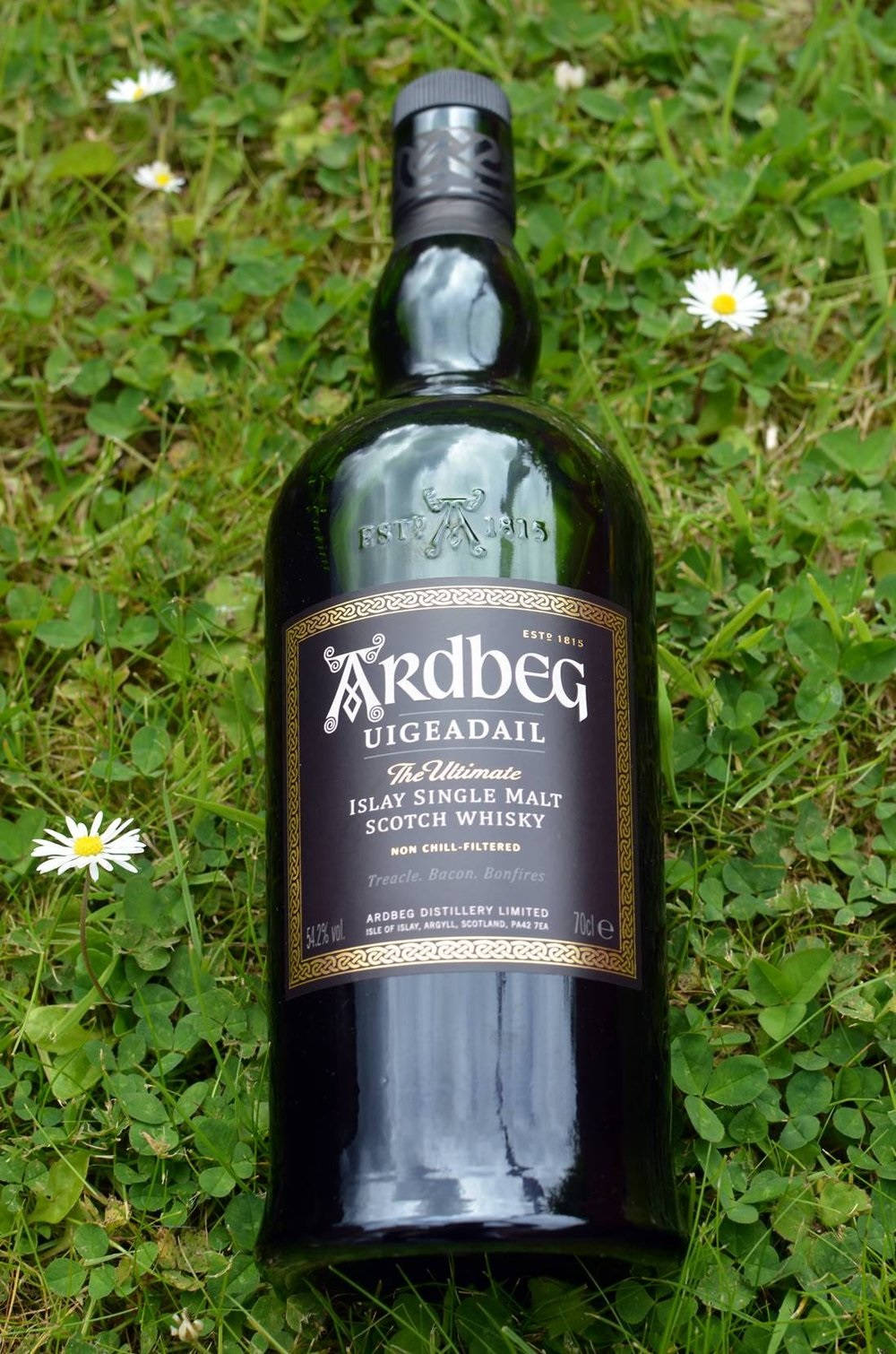 一瓶 Ardbeg Uigeadail 威士忌連同雛菊躺在草地上。