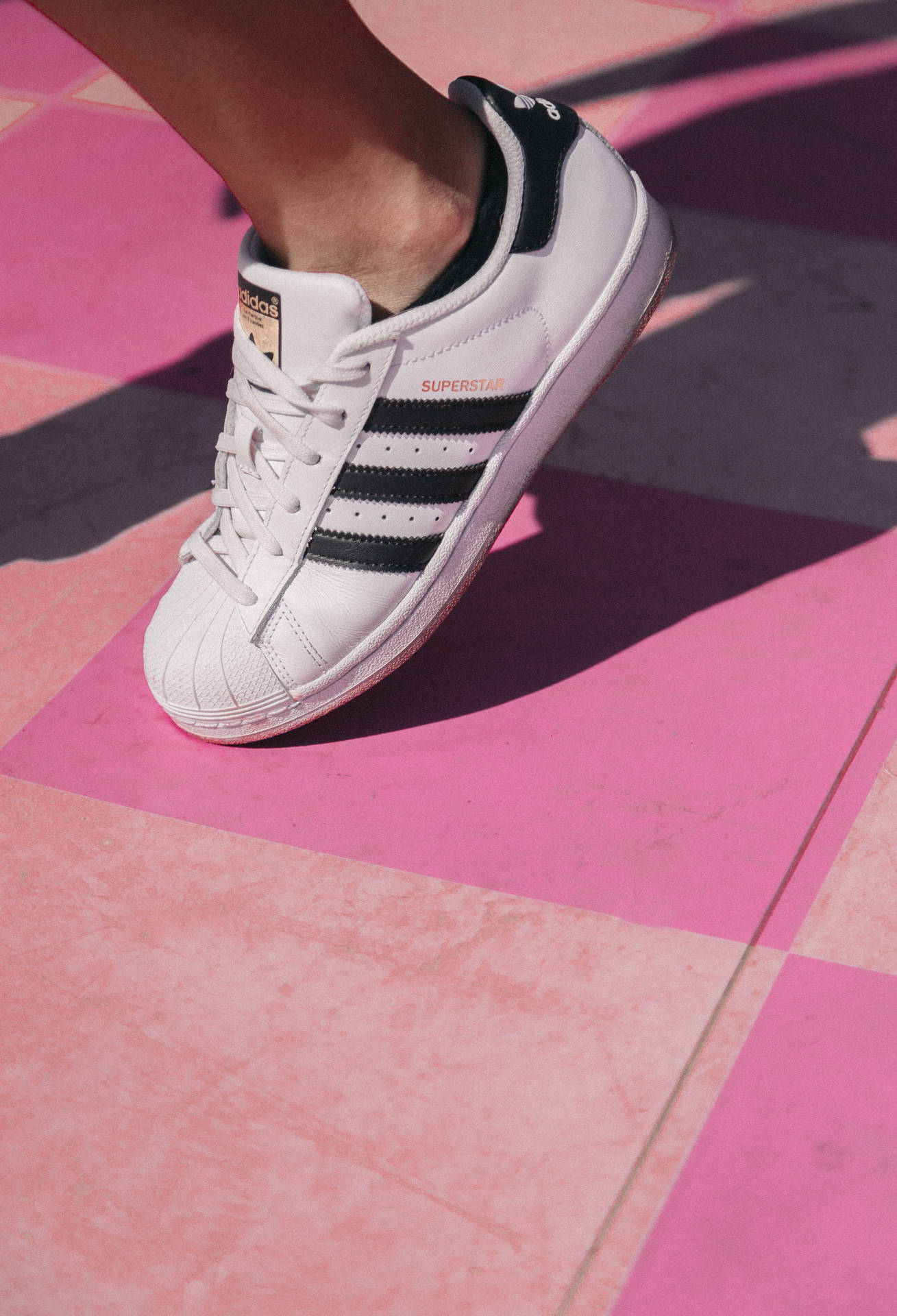 白色adidas Superstar運動鞋在粉紅色瓷磚地板上的特寫。