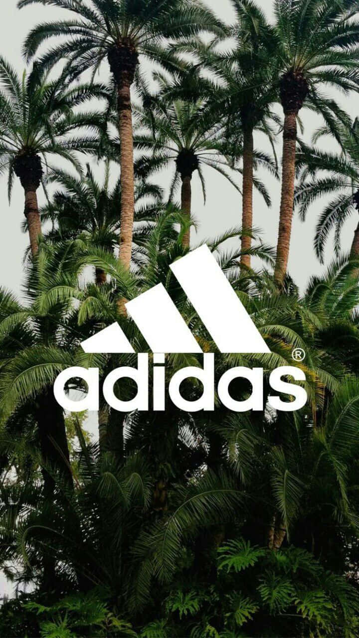 Adidas標誌疊加在茂密的熱帶棕櫚葉上。