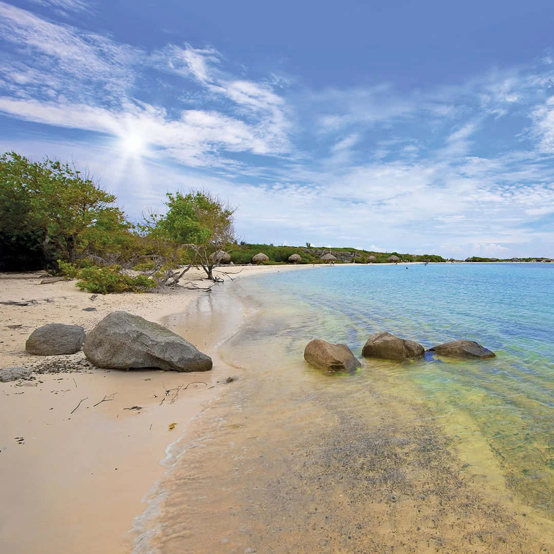 阿魯巴海灘與樹木風景 壁紙 — 陽光在碧綠的海水上閃爍，拍打著沙灘，沙灘上散佈著大岩石和茂密的綠色植物，天空湛藍。