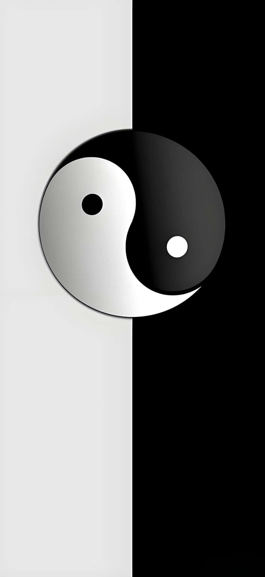 一個黑白陰陽符號，背景為黑白分割