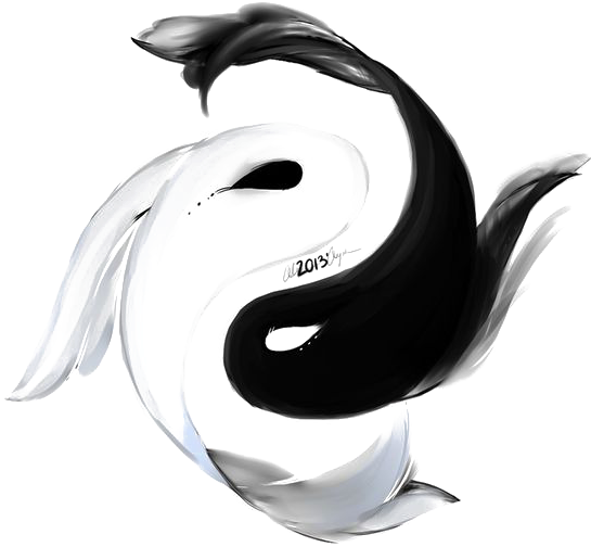 陰陽鯉魚藝術圖 壁紙 — 一個動態的黑白陰陽符號，以流暢的筆觸紋理呈現在清晰的透明背景上。