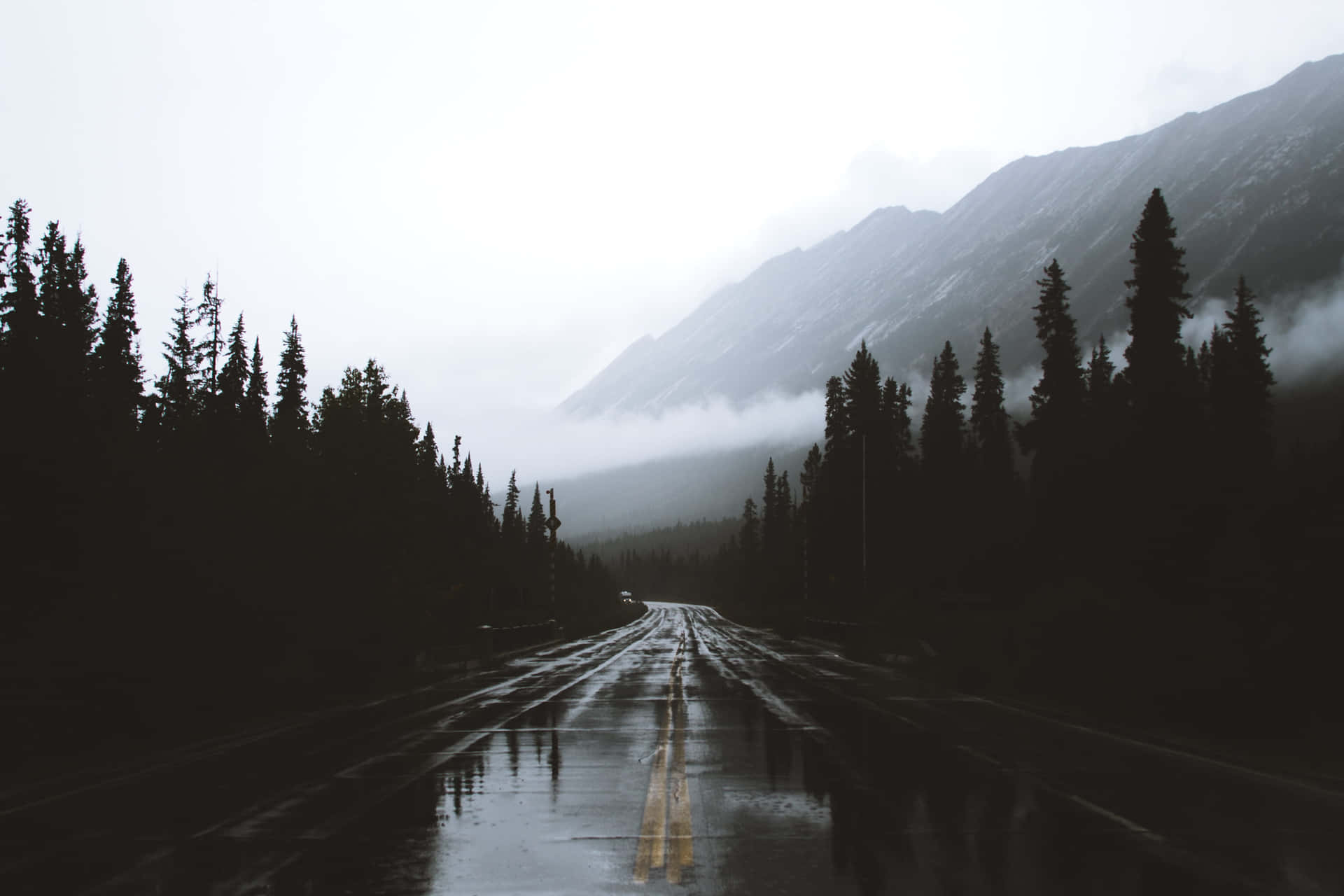 一條雨路蜿蜒穿過霧氣瀰漫的森林，背景是山脈。
