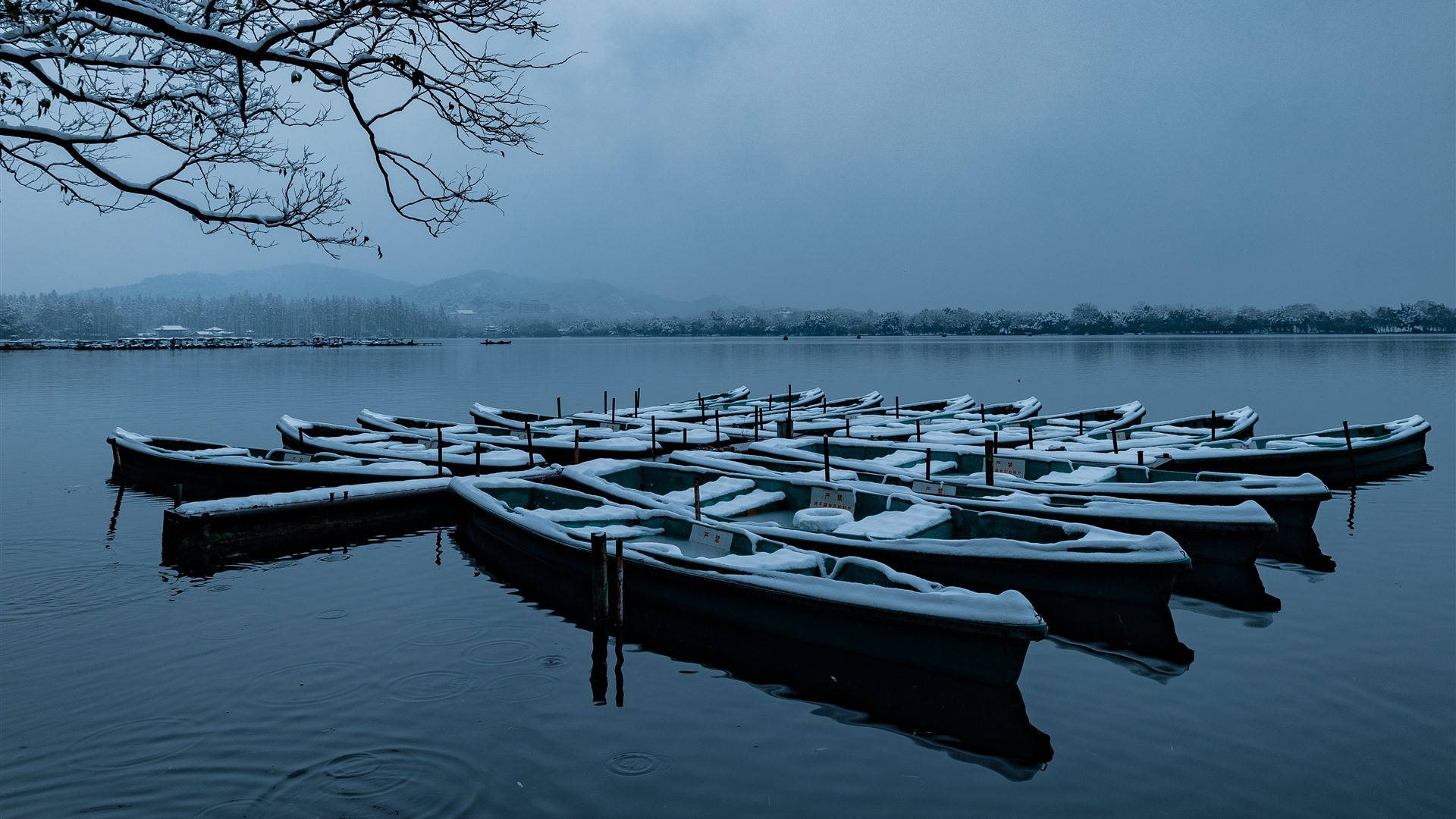 陰鬱杭州湖景氛圍 壁紙 — 白雪覆蓋著停泊在寧靜湖面上的小船，頭頂上是灰色的冬日天空和光禿禿的樹枝。