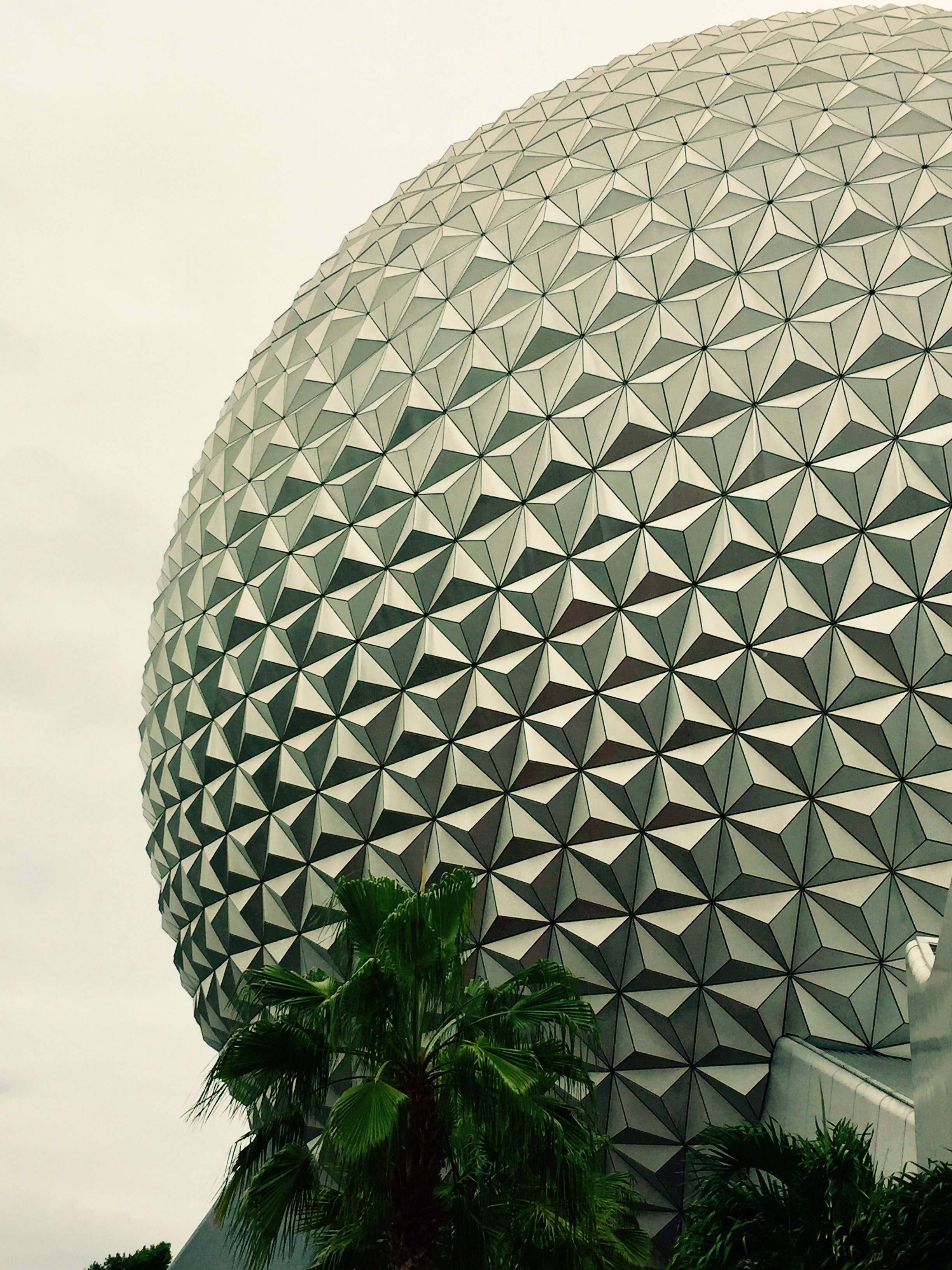 陰鬱的 Epcot 球體 壁紙 — 從低角度觀看Epcot標誌性的測地線球體Spaceship Earth，前景有茂密的棕櫚樹，天空多雲。