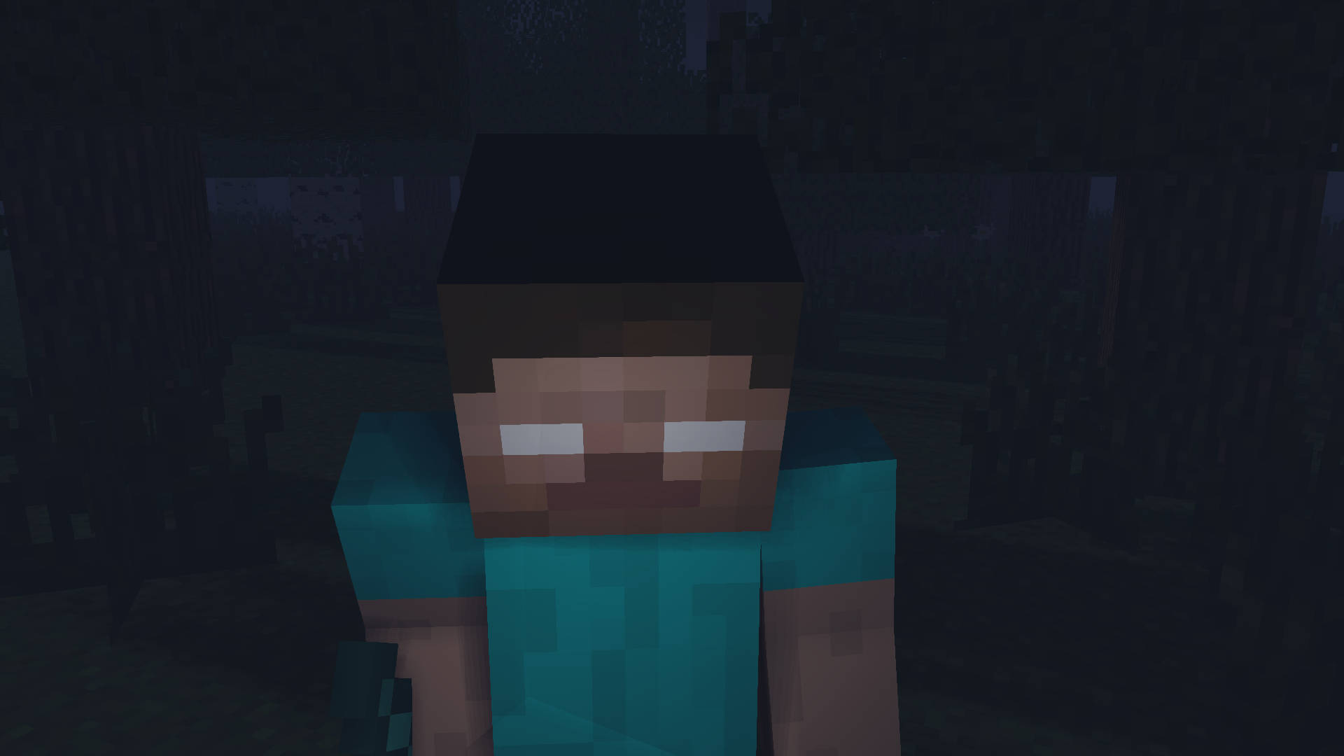 穿著青綠色襯衫的Minecraft角色在夜晚的黑暗森林中站立