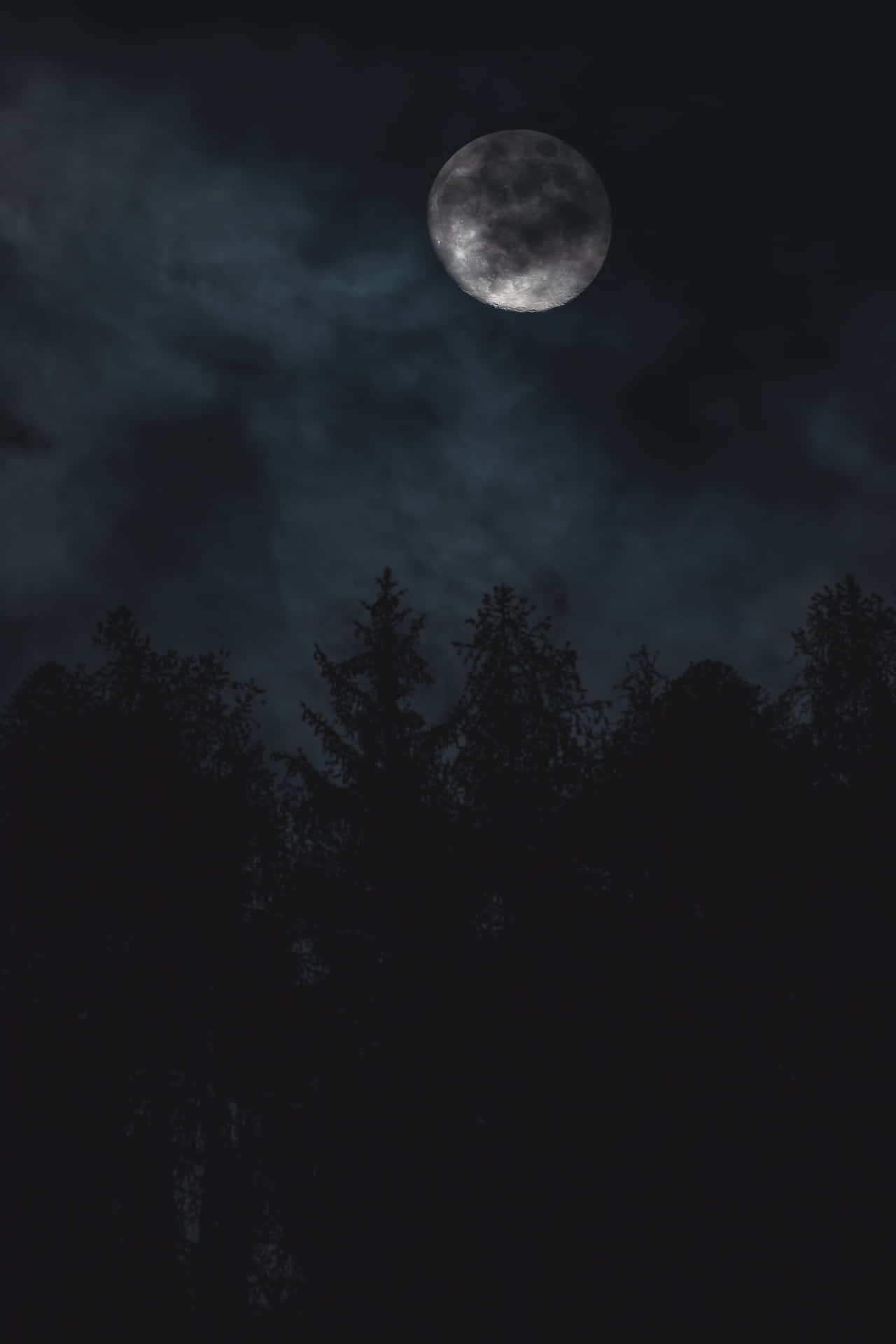 陰鬱的夜空 壁紙 — 一輪明亮的滿月透過縷縷雲彩，照耀在夜晚松樹的黑暗輪廓之上。