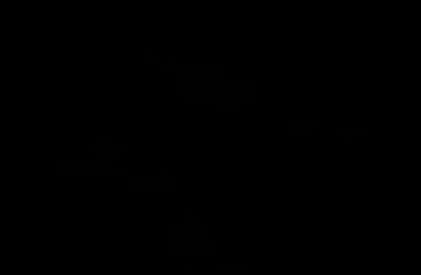 霧氣夜景PNG