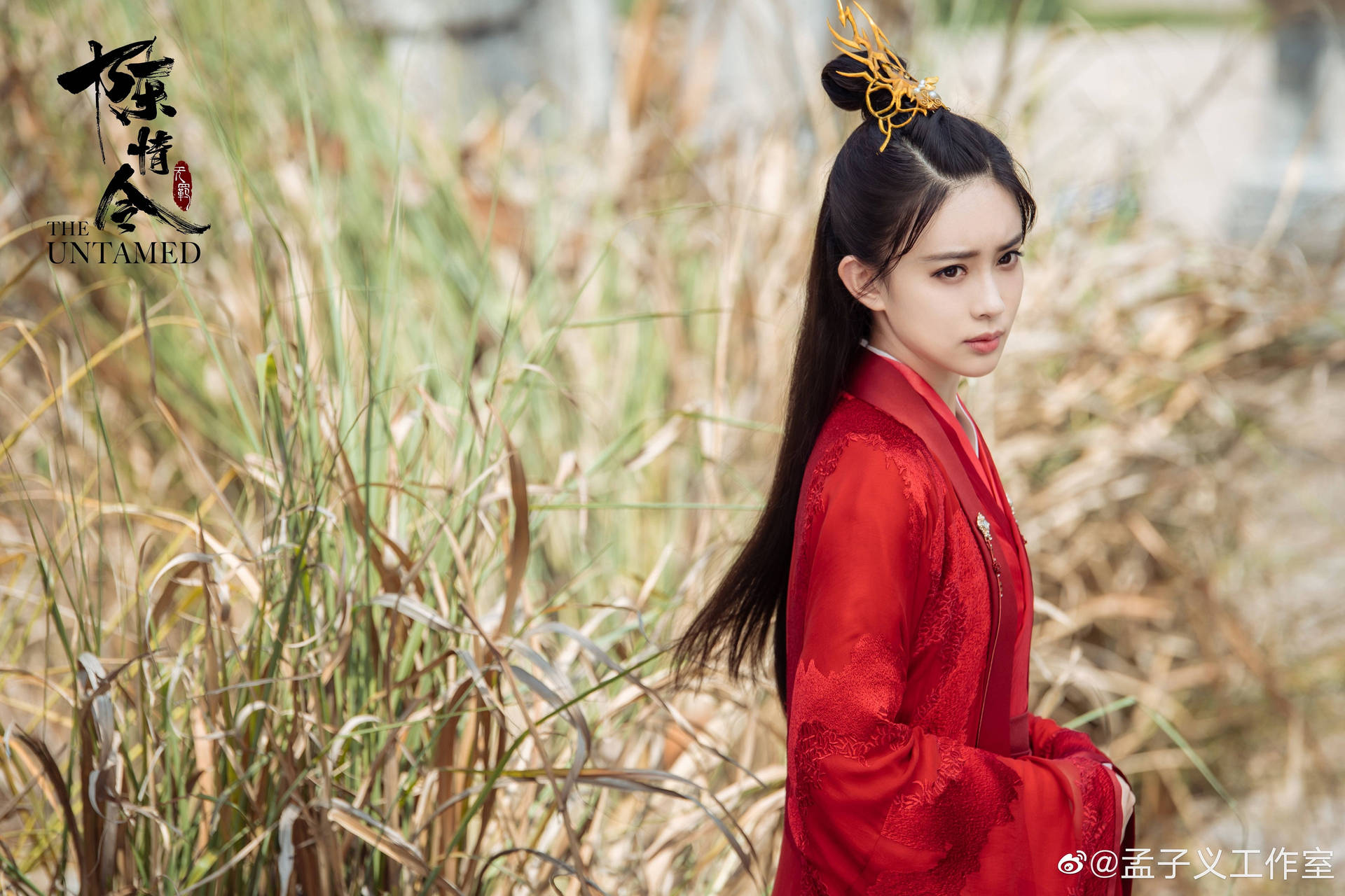 身穿紅色傳統長袍的女性站在高草中，戴著金色髮簪