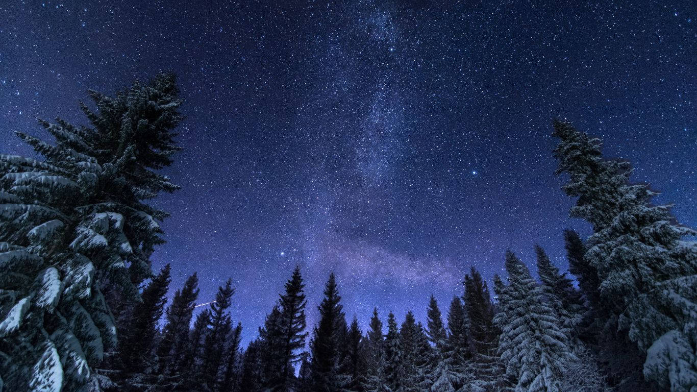雪覆蓋的松樹在星空下，銀河系清晰可見。