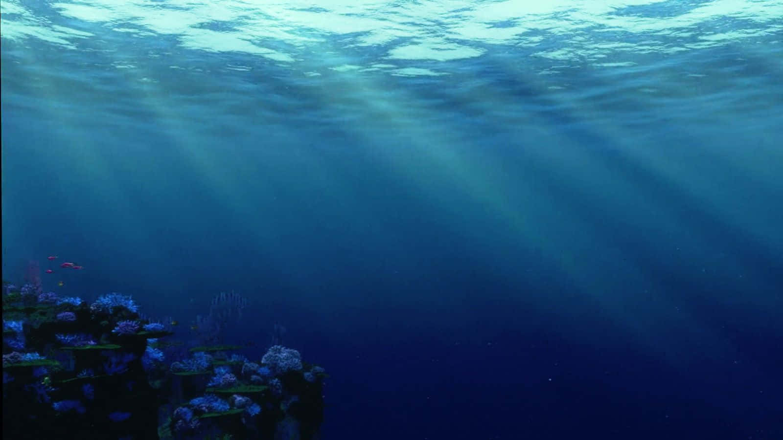 海底奇兵 桌布 壁紙 — 陽光光束穿透深藍色海洋，照耀在充滿海洋生物嘅 vibrant 珊瑚礁之上。