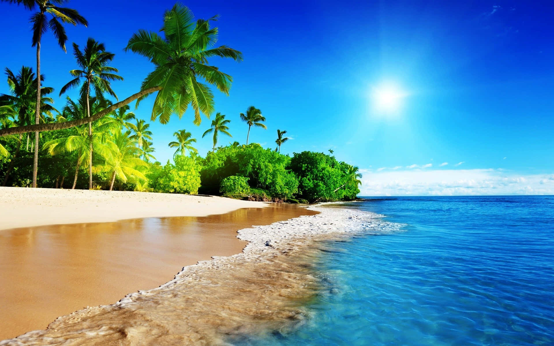 Beach Holiday 桌布 壁紙 — 陽光在碧綠的海水上閃爍，拍打著白色沙灘，沙灘兩旁種滿了茂密的綠色棕櫚樹，頭頂是湛藍的天空。