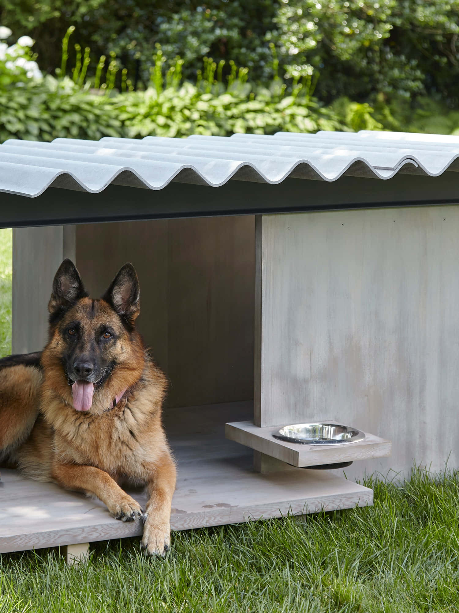 陽光後院中的舒適木製狗屋 壁紙 — 一隻德國牧羊犬在一個現代簡約風格的狗屋中快樂地休息，狗屋有波紋金屬屋頂和混凝土碗，放在草地上。