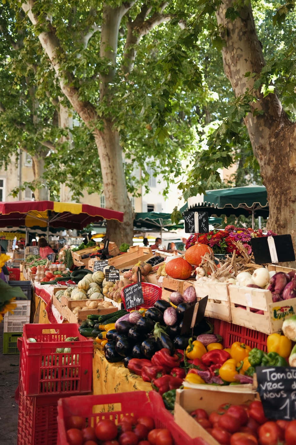 Farmers Market 桌布 壁紙 — 陽光明媚的日子裡，綠樹成蔭的戶外市場攤位擺滿了色彩繽紛的新鮮農產品。