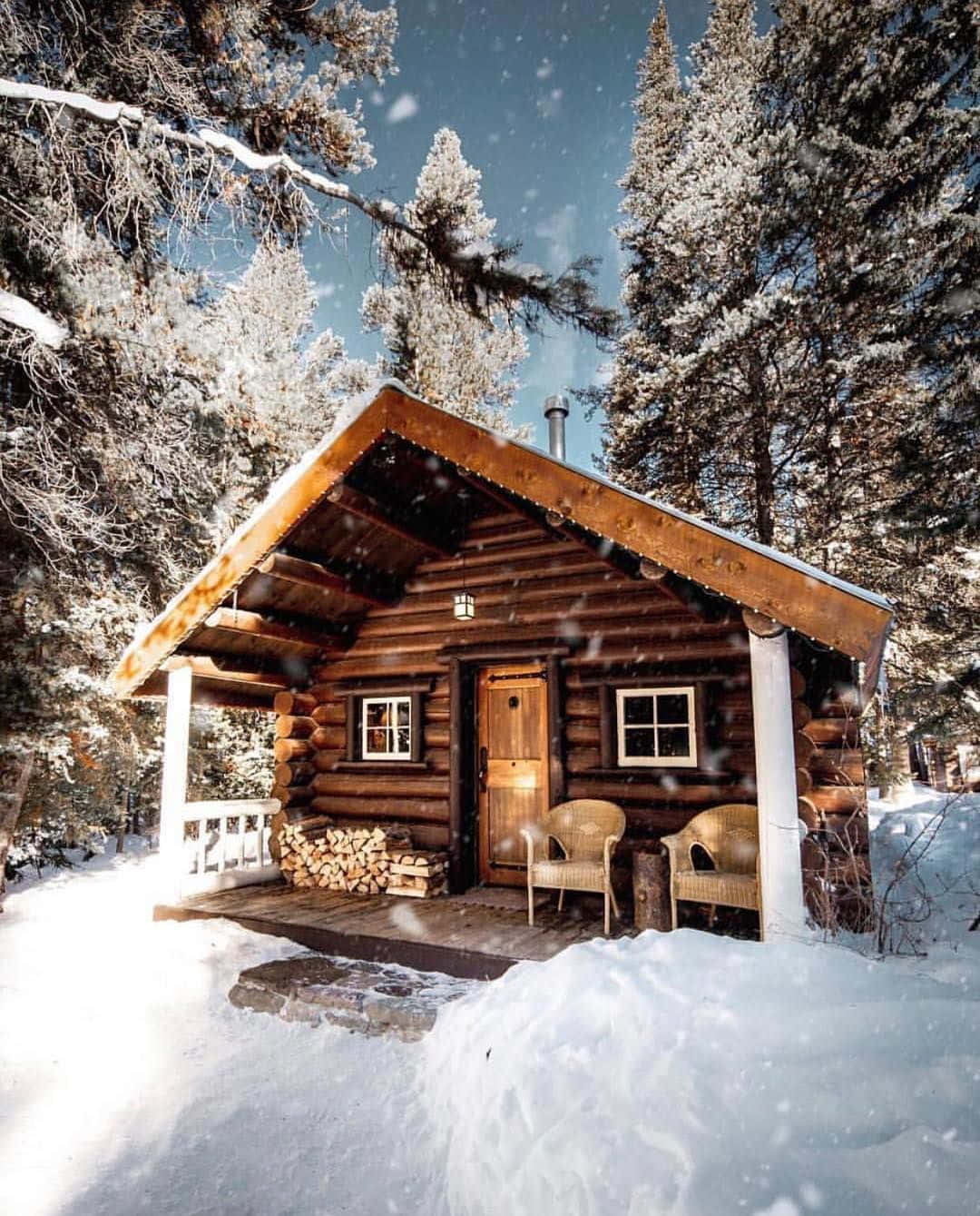 陽光明媚的森林木屋，溫馨宜人 壁紙 — 一間舒適的木屋坐落在白雪覆蓋的松樹林中，天空湛藍，雪花飄落。