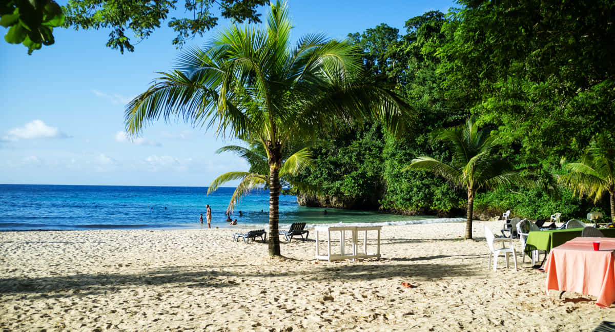 Jamaican Beach 桌布 壁紙 — 陽光明媚的熱帶海灘，有白色沙灘、棕櫚樹和碧綠的海洋，在清澈的藍天下。