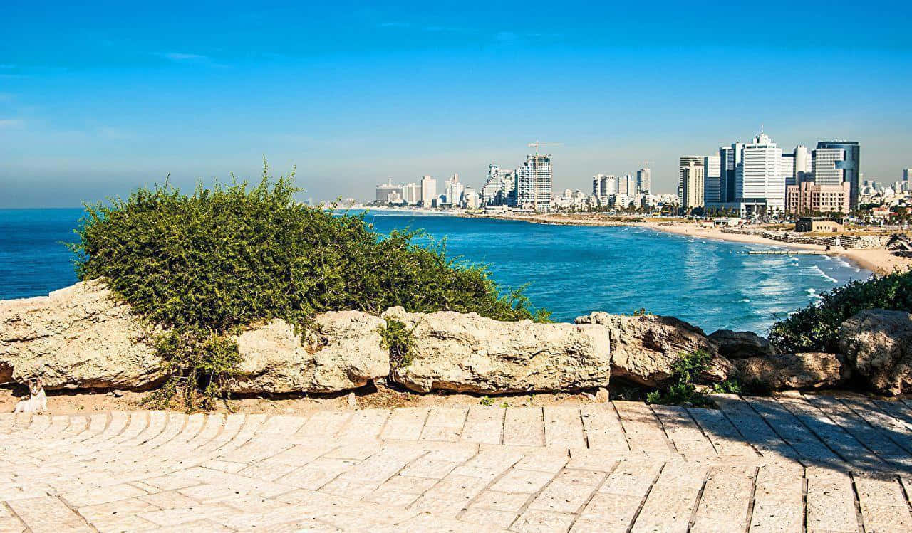 Israel 桌布 壁紙 — 陽光普照的海岸城市景觀，碧綠海水與現代摩天大樓，從鋪設石塊的觀景點眺望，周圍有綠色灌木。