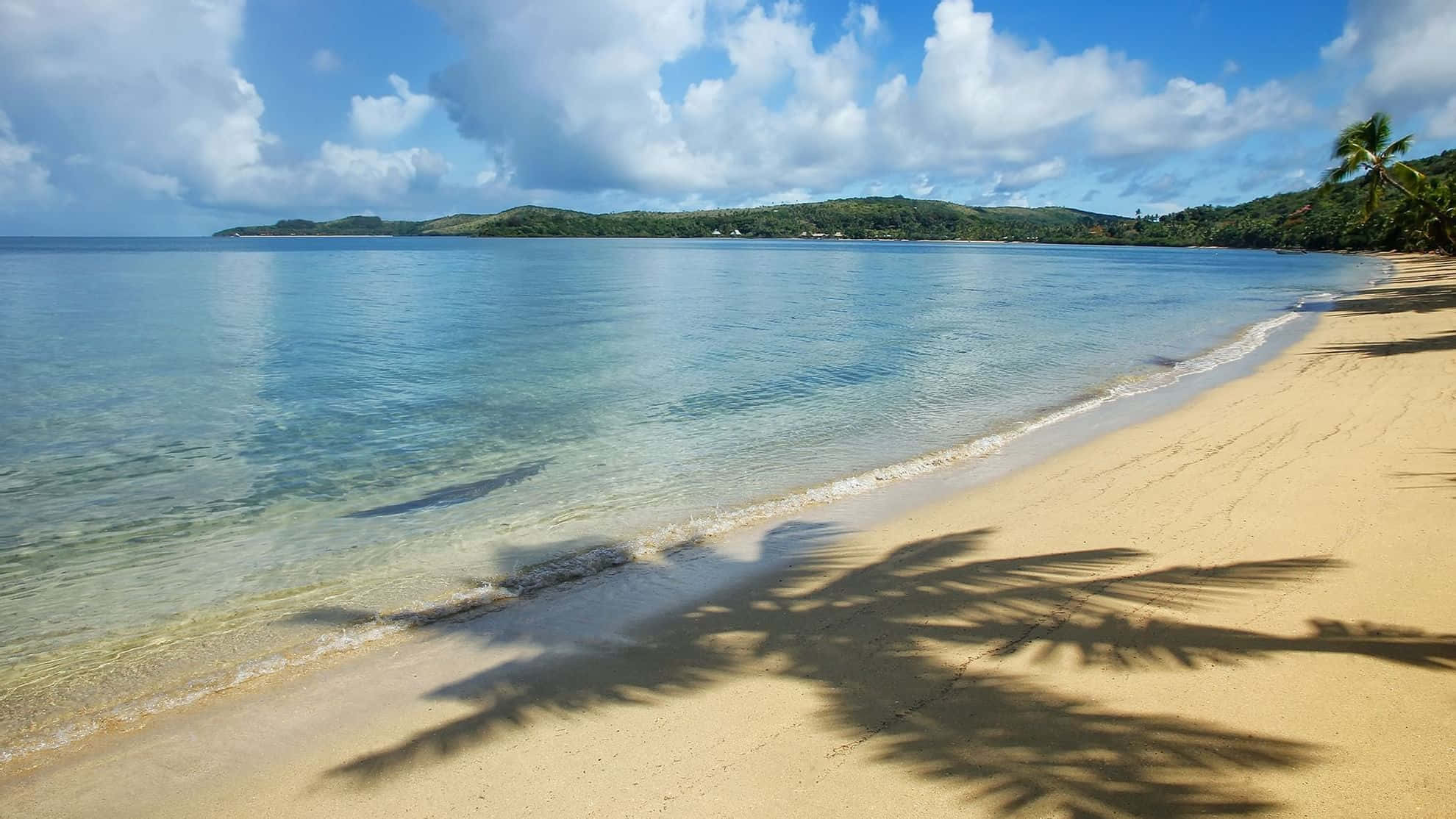 Fiji Beach 桌布 壁紙 — 陽光普照的熱帶海灘，金色沙灘、棕櫚樹影、碧綠海水、茂密青山，襯托著藍天白雲。