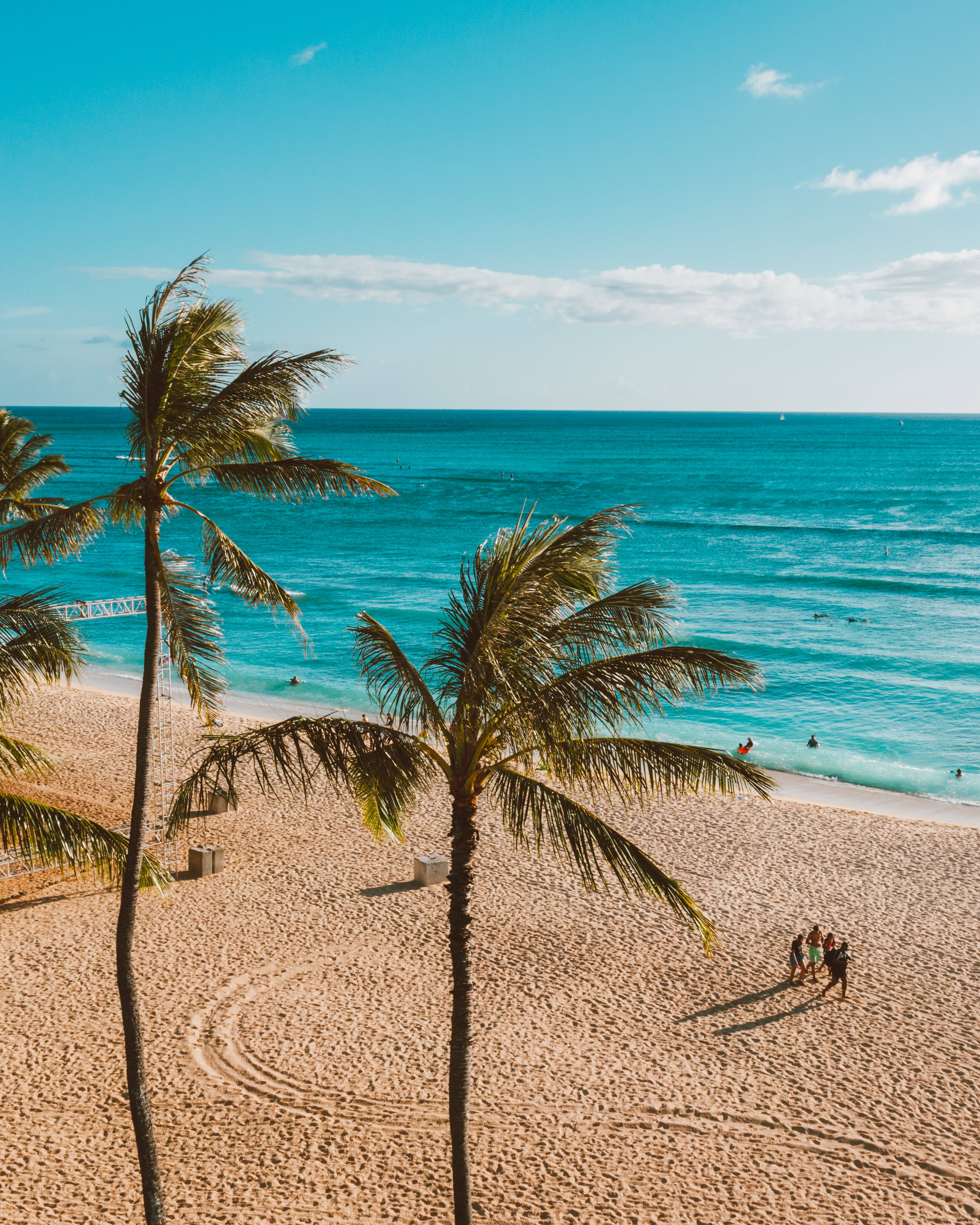 Palm Trees Beach 桌布 壁紙 — 陽光普照的熱帶海灘鳥瞰圖，棕櫚樹在金色沙灘和碧綠海浪上搖曳。