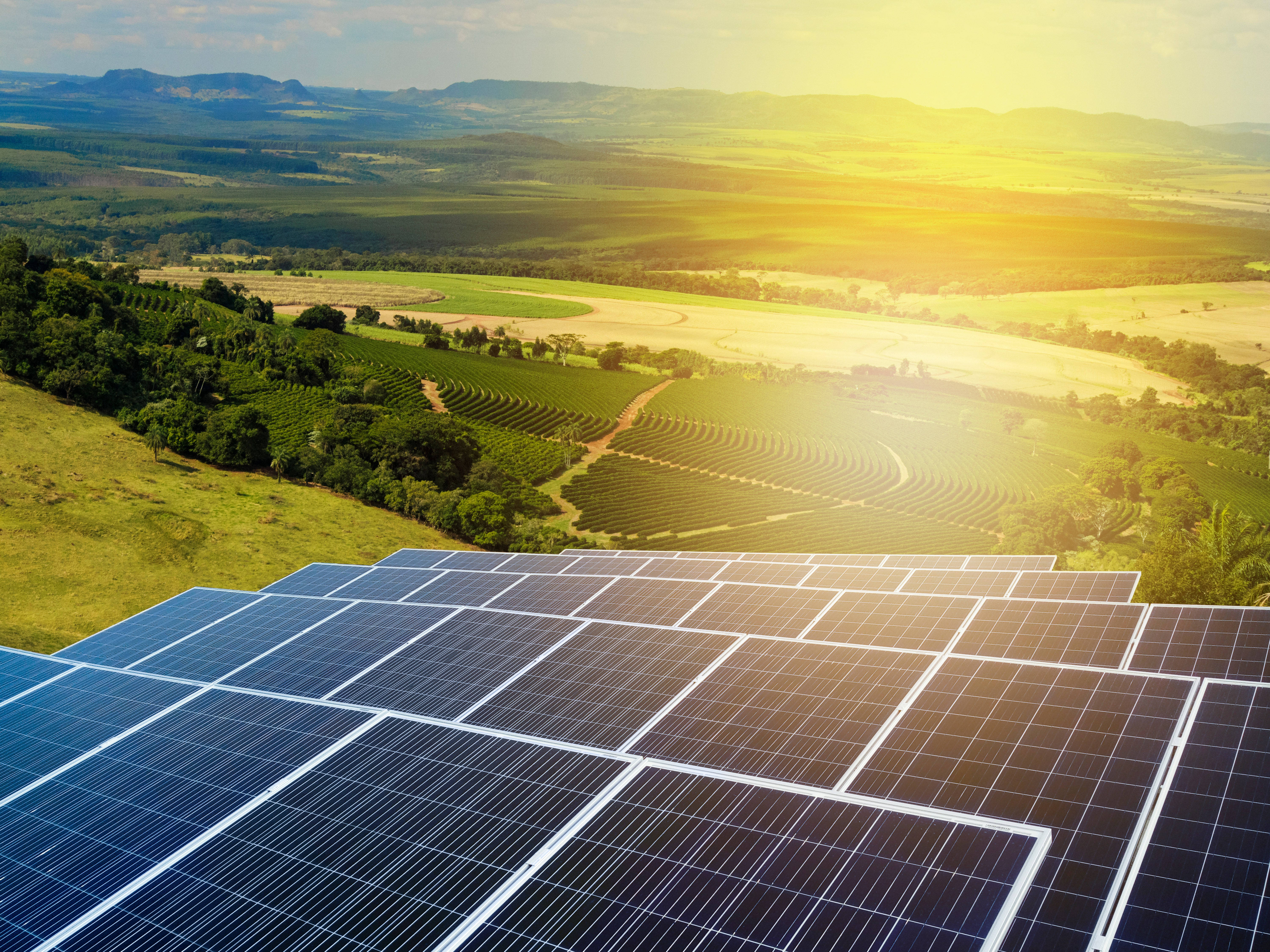 陽光灑在NV Energy太陽能板上 壁紙 — 太陽能板在前景閃耀，俯瞰沐浴在金色日出光芒中的起伏綠色山丘和農田。