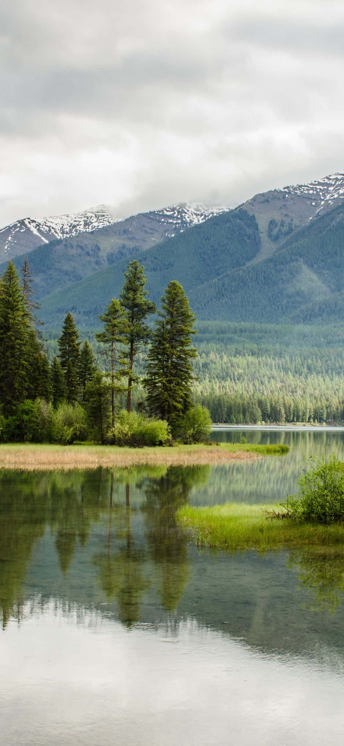 陽光灑落的海灘全景 壁紙 — 平靜的湖面映照著白雪覆蓋的山峰和常綠樹，天空多雲。