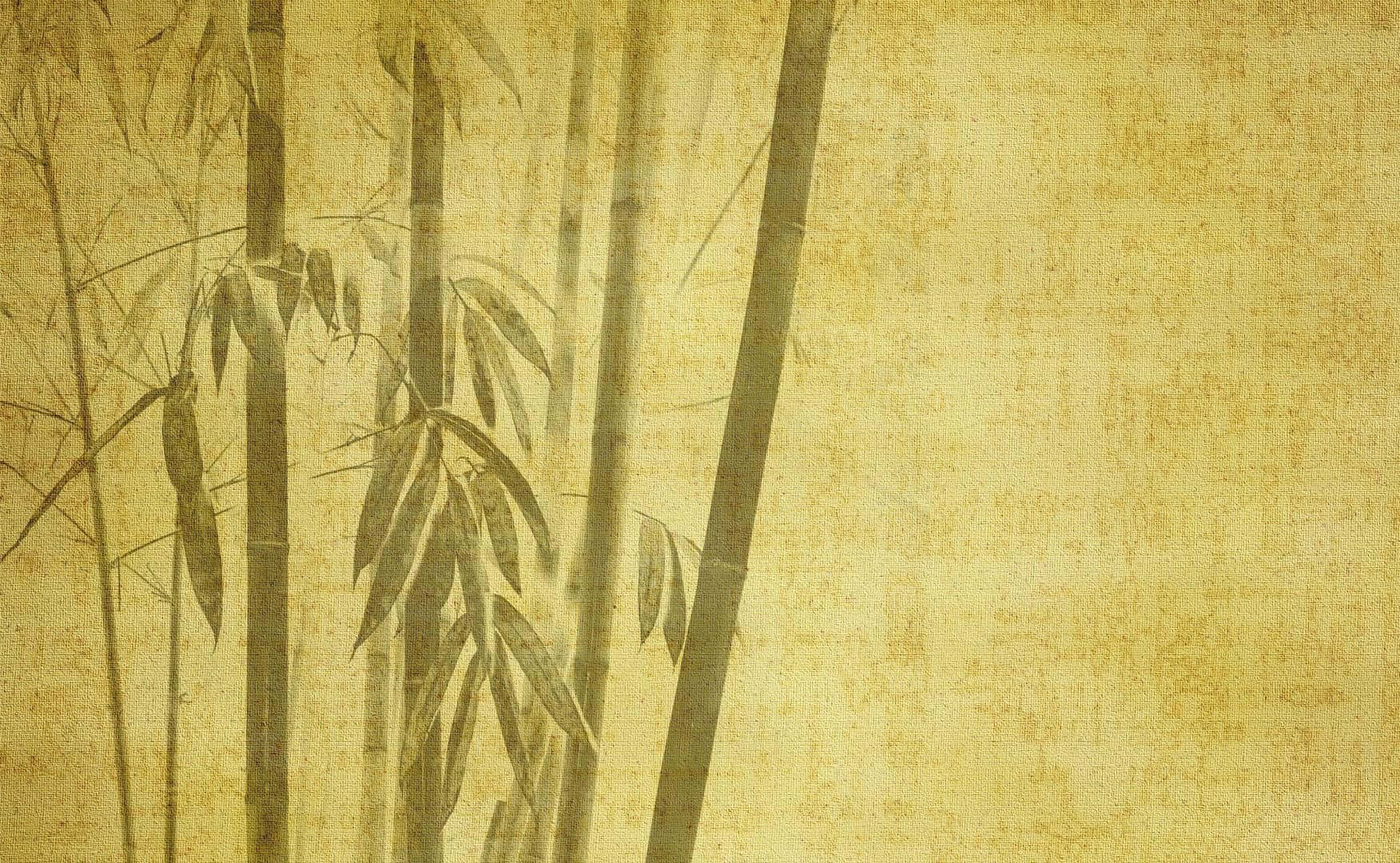 陽光灑落的翠綠竹林 壁紙 — 細緻的竹莖和竹葉以柔和墨色呈現，襯以有紋理的舊羊皮紙背景。