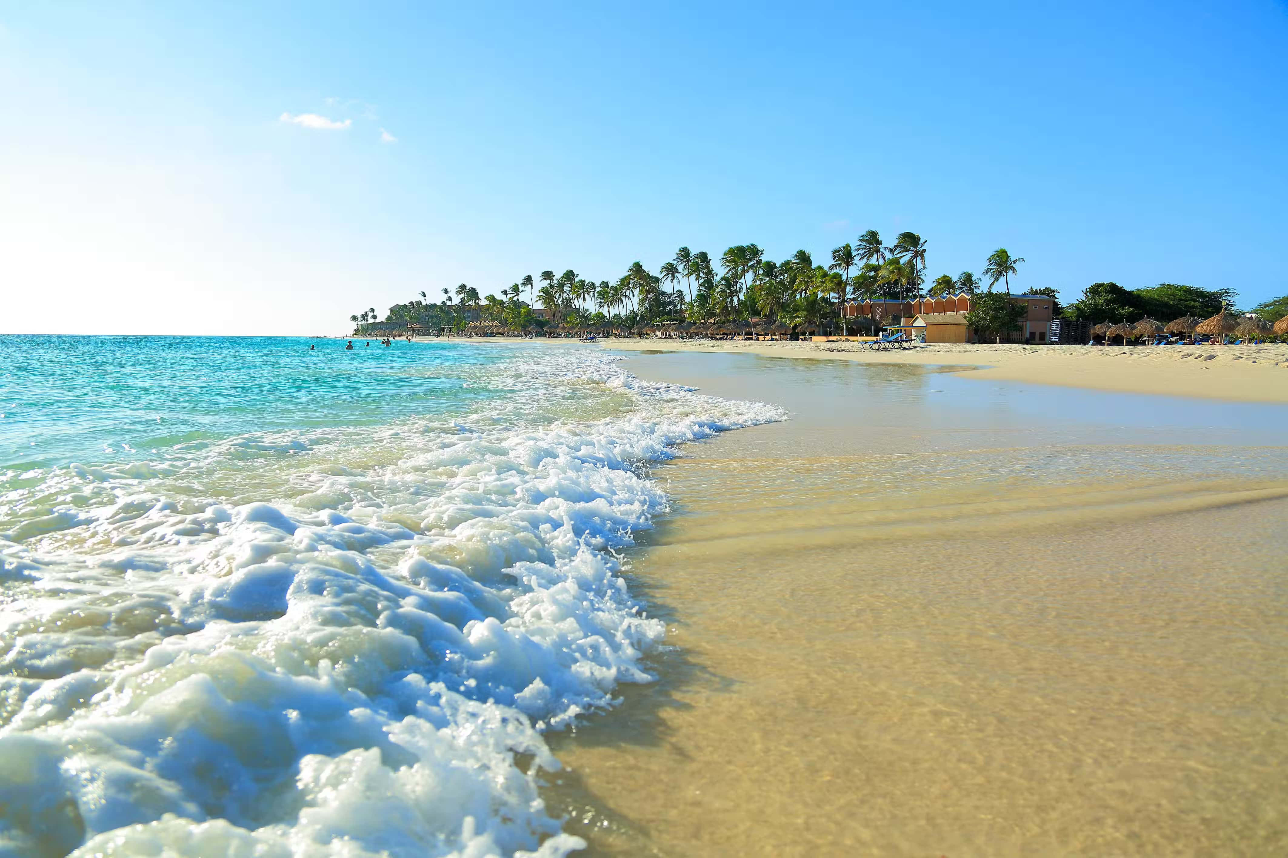 Aruba 桌布 壁紙 — 陽光照射下的碧綠海浪拍打著金色沙灘，旁邊有棕櫚樹和度假村建築，天空湛藍清澈。