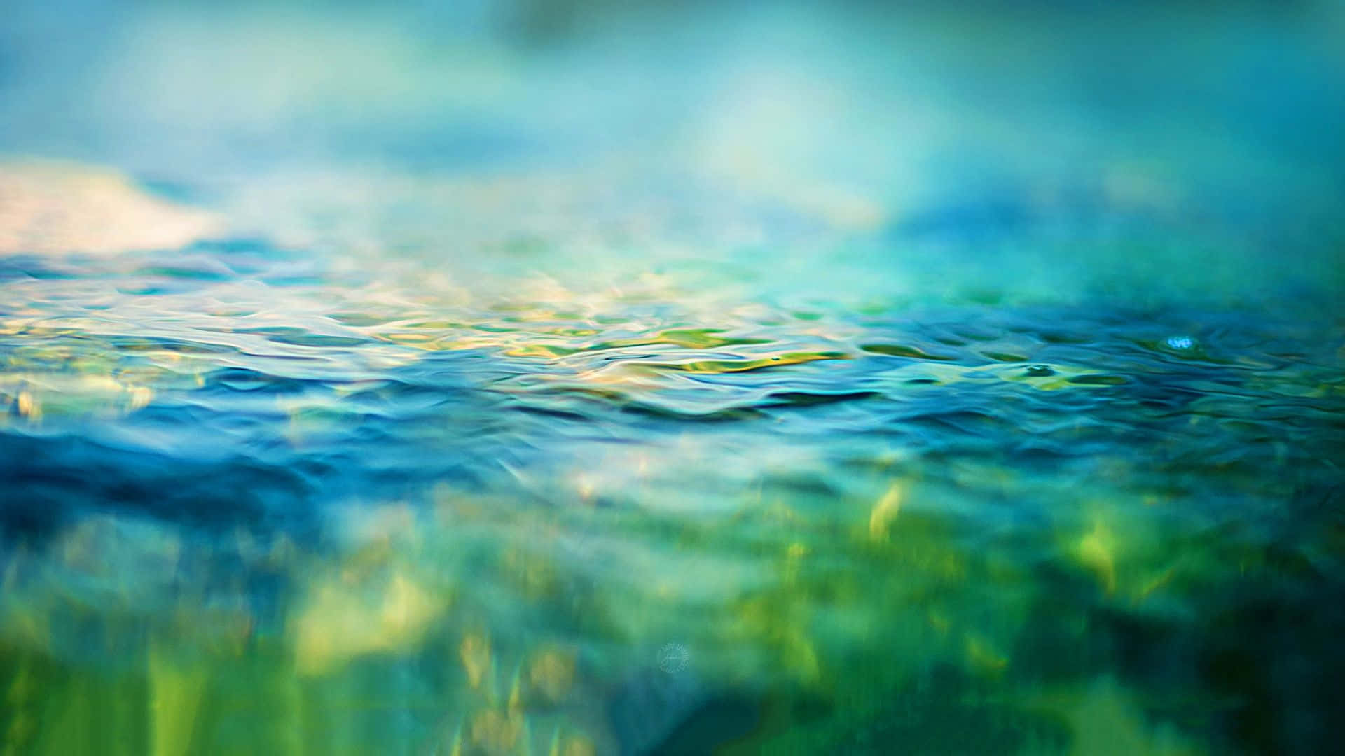 Nature Blur 桌布 壁紙 — 陽光照射的碧綠水面上有輕柔的漣漪，下方有模糊的綠色水生植物。