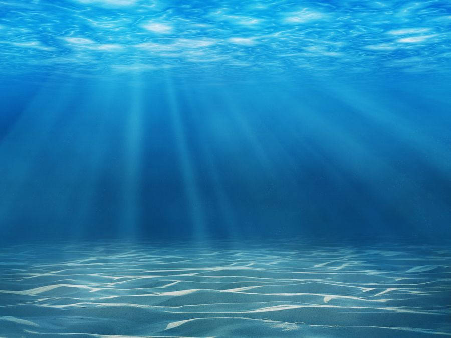 HD 桌布 壁紙 — 陽光穿透清澈的海水，照亮下方的沙質海床。