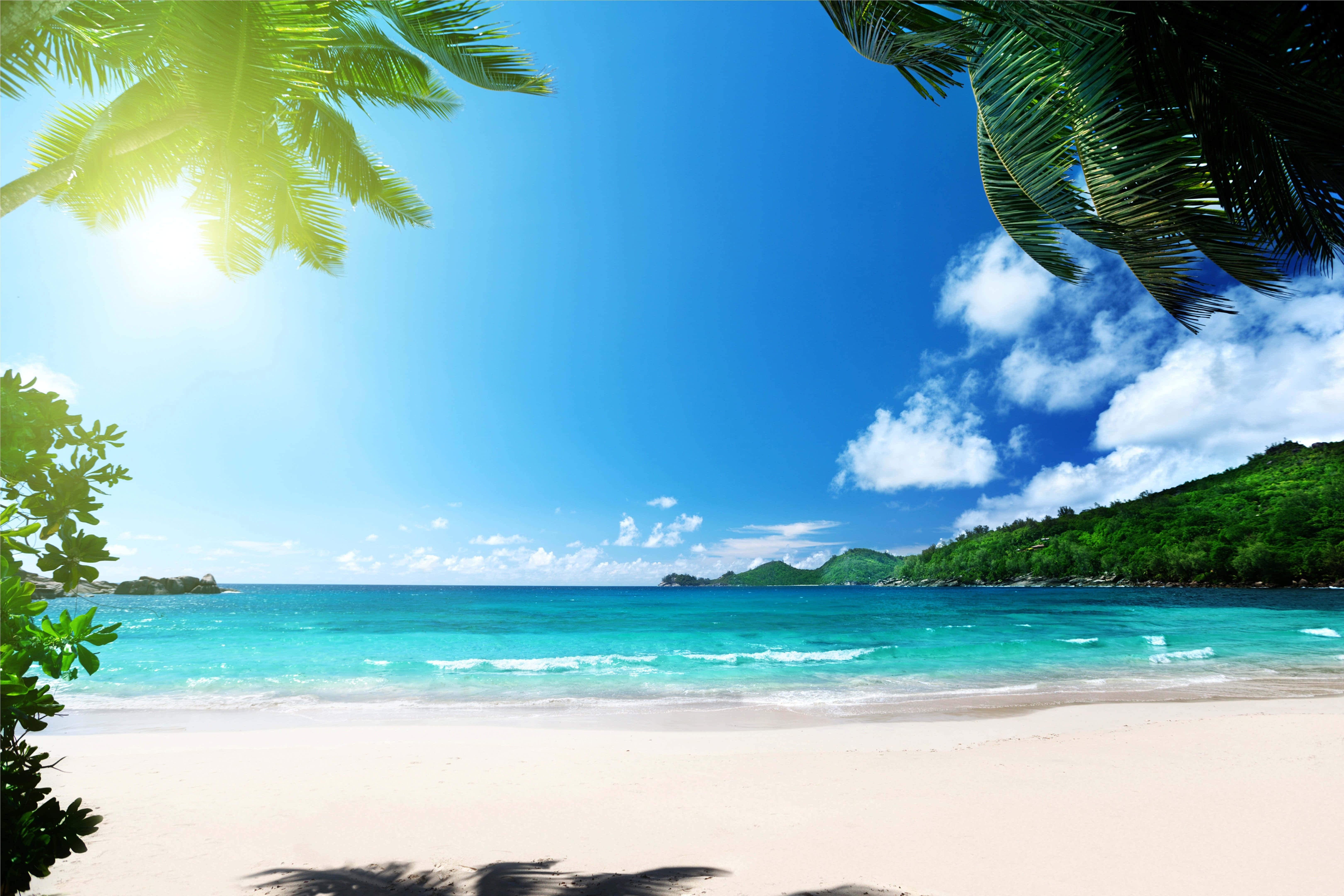 Beautiful Beach 桌布 壁紙 — 陽光穿過棕櫚葉，灑在碧綠的海水上，與白色沙灘相接，天空湛藍，白雲朵朵。