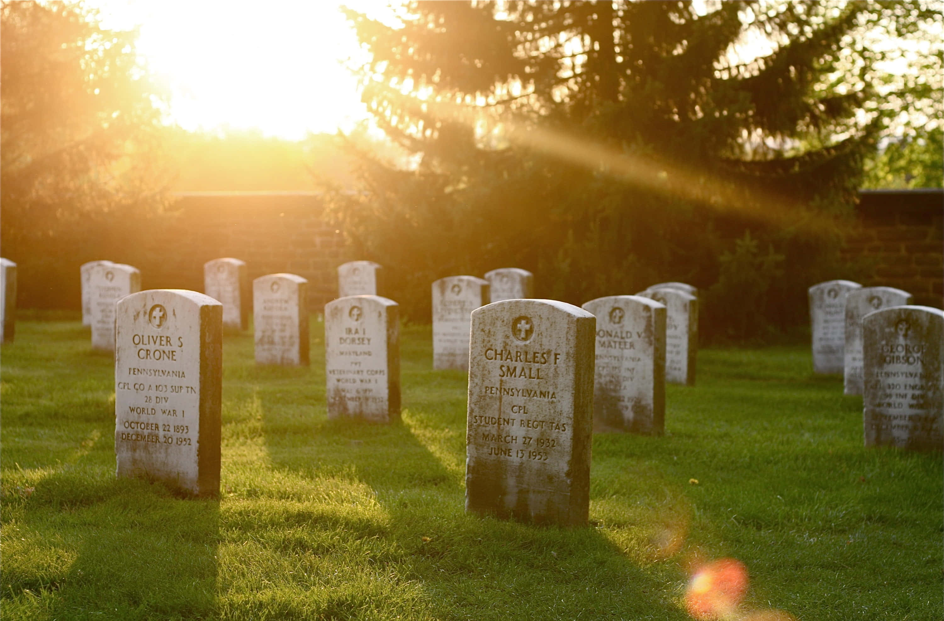 Gravestone 桌布 壁紙 — 陽光穿過樹木，在寂靜的墓園中將金色光線投射在一排排風化的墓碑上。